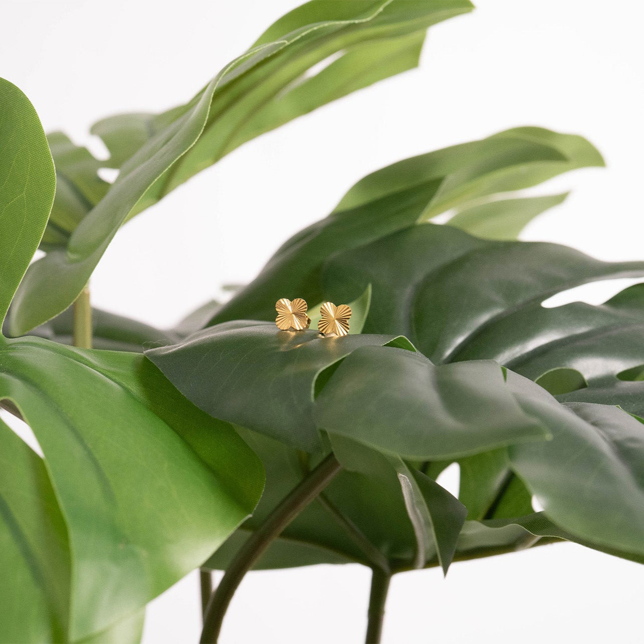 18K Gold PVD Stainless Steel Clover Stud Earring / ERJ0076、mySite、dreamappss