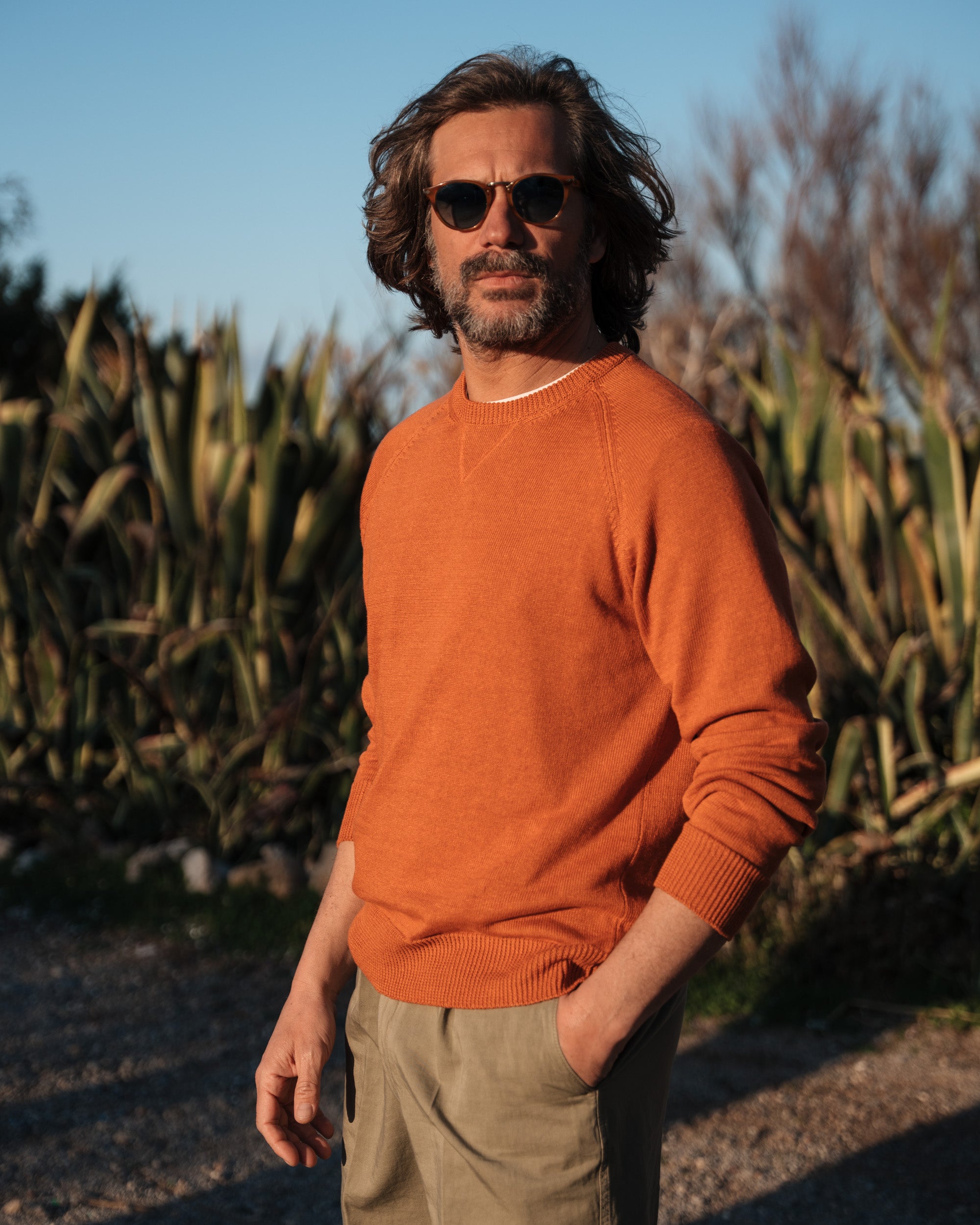  Alberona、mySite、merchandisen