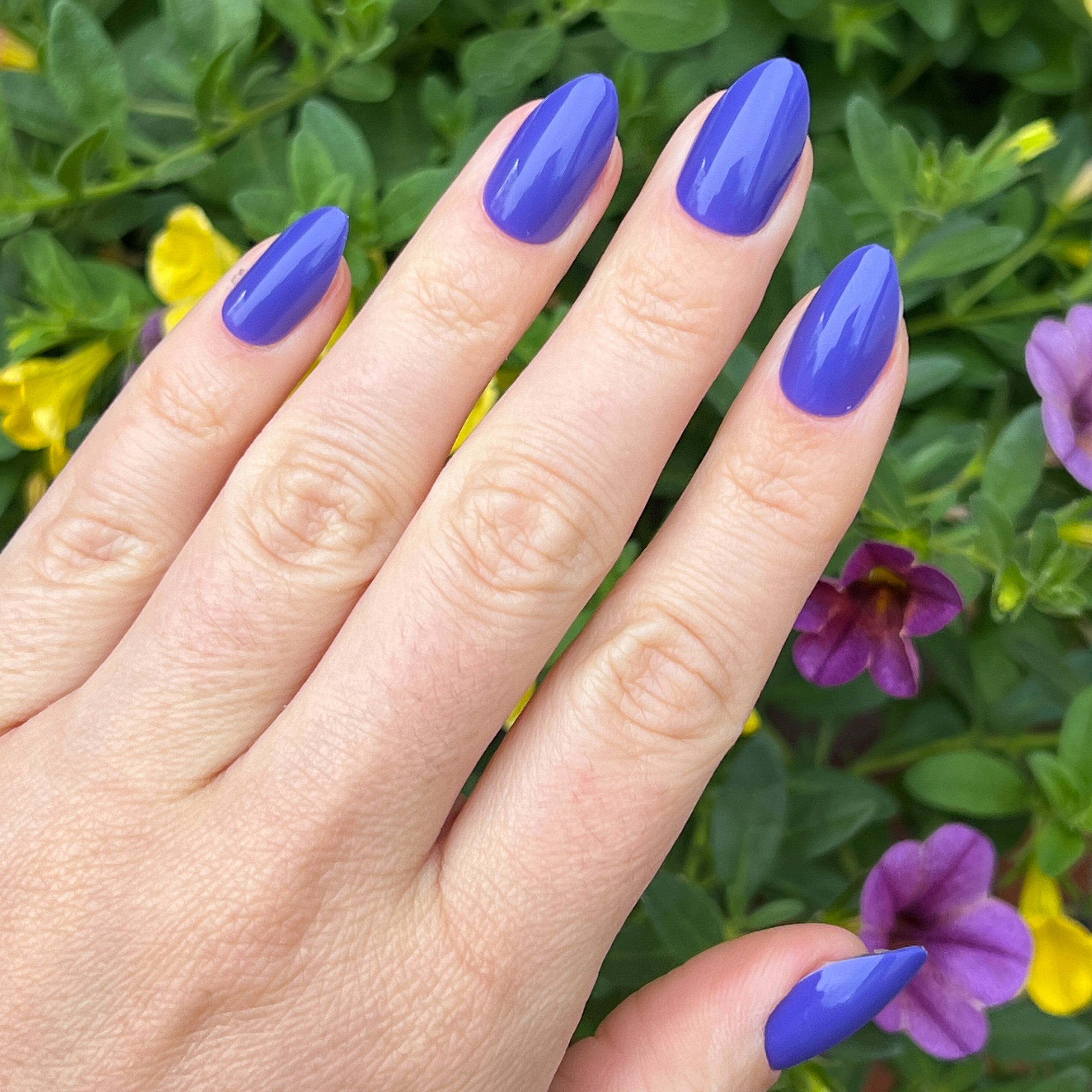 House of O&J - Press-On | Medium | Almond、mySite、solidvoid