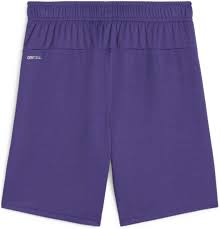 (PUMA-705752-10) Puma TeamGoal Shorts - Purple PURPLE、mySite、noshort