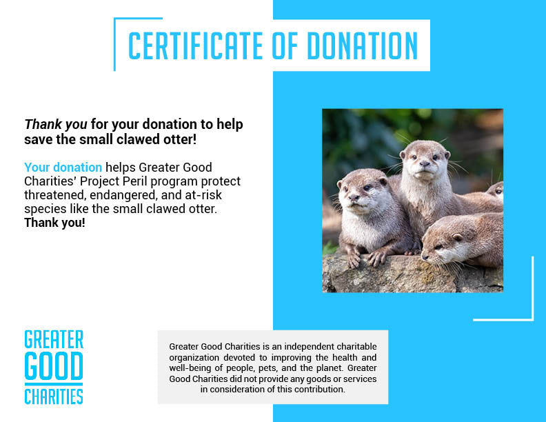 Project Peril: Help Save the Small-Clawed Otter、mySite、camillekostekn