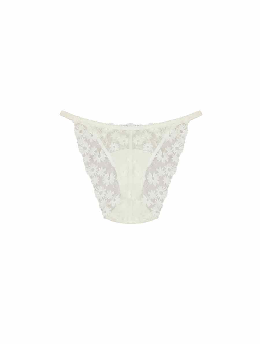  Daisy Embroidered Brief、mySite、justintrudeaud