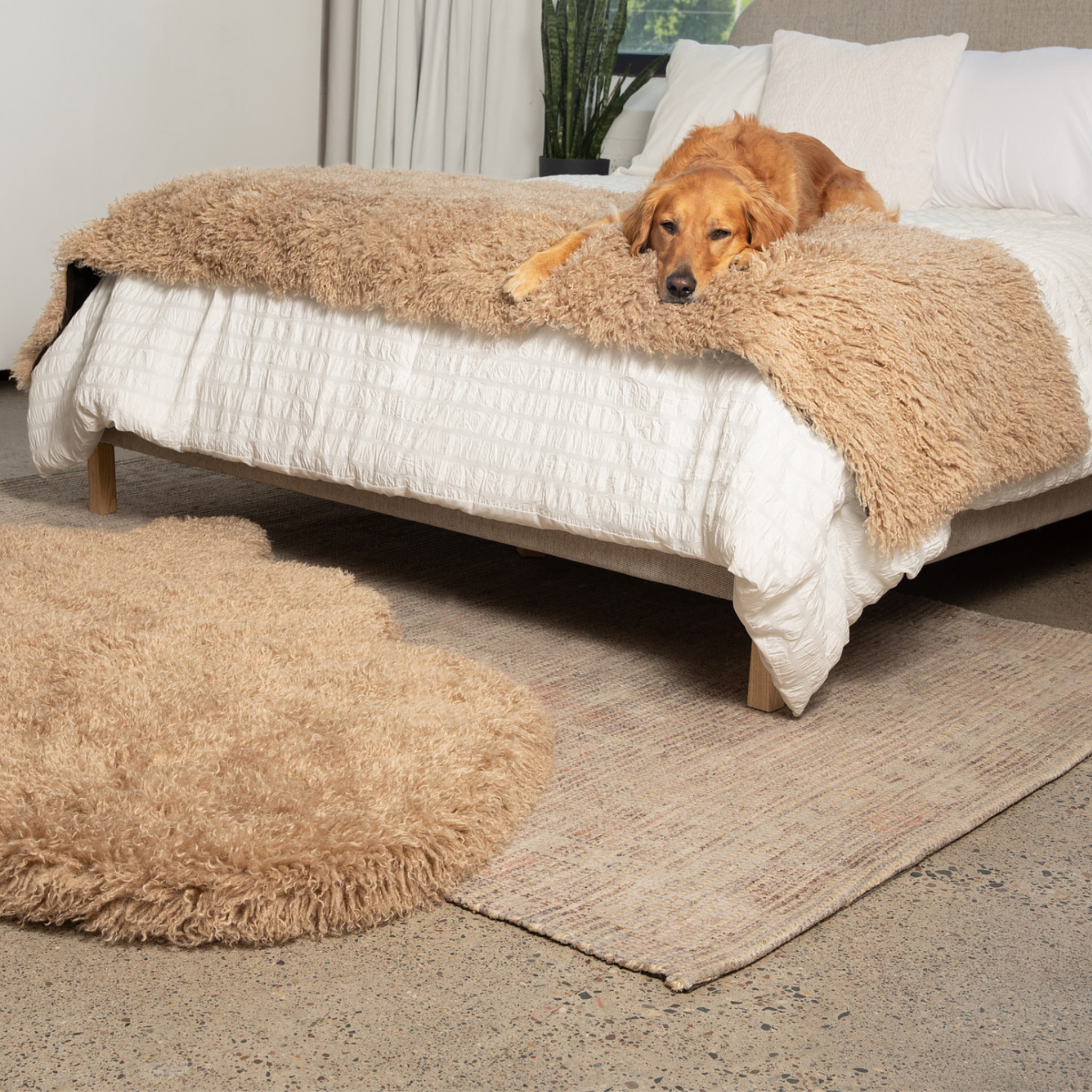 PupProtector™ Luxe Waterproof Bed Runner - Plush Sheep Tan、mySite、solidvoid