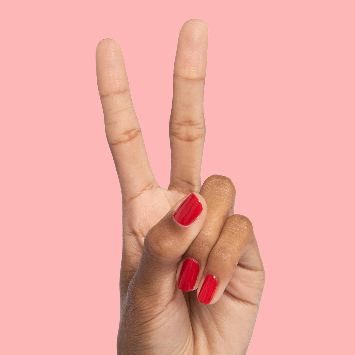 Smooch、mySite、solidvoid