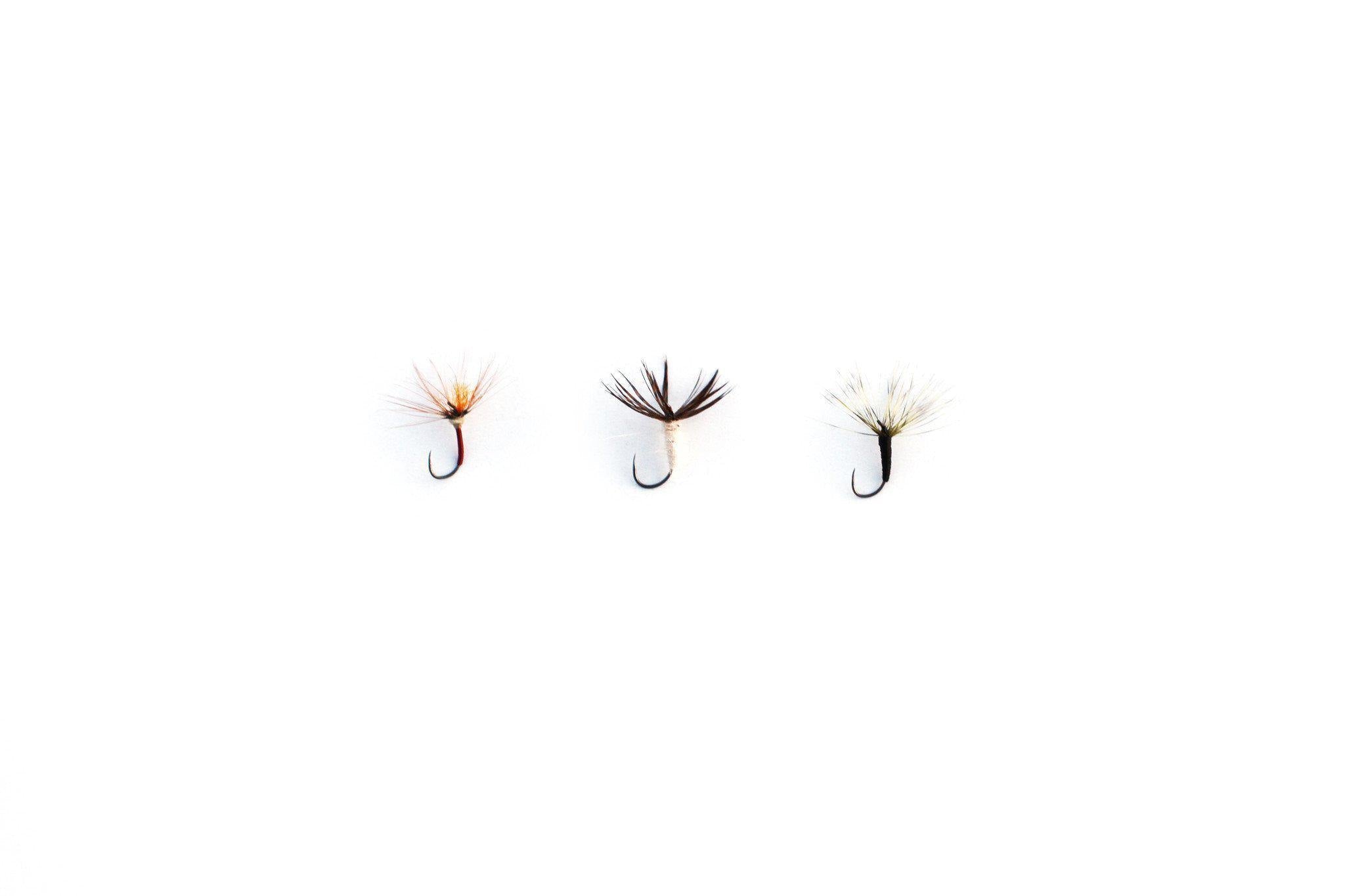 3 Flies - Assortment、mySite、solidvoid