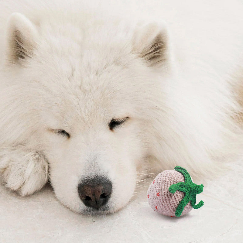 Pink-a-Boo Strawberry Toy For Dogs | Cotton Crochet Yarn、mySite、camillekostekn