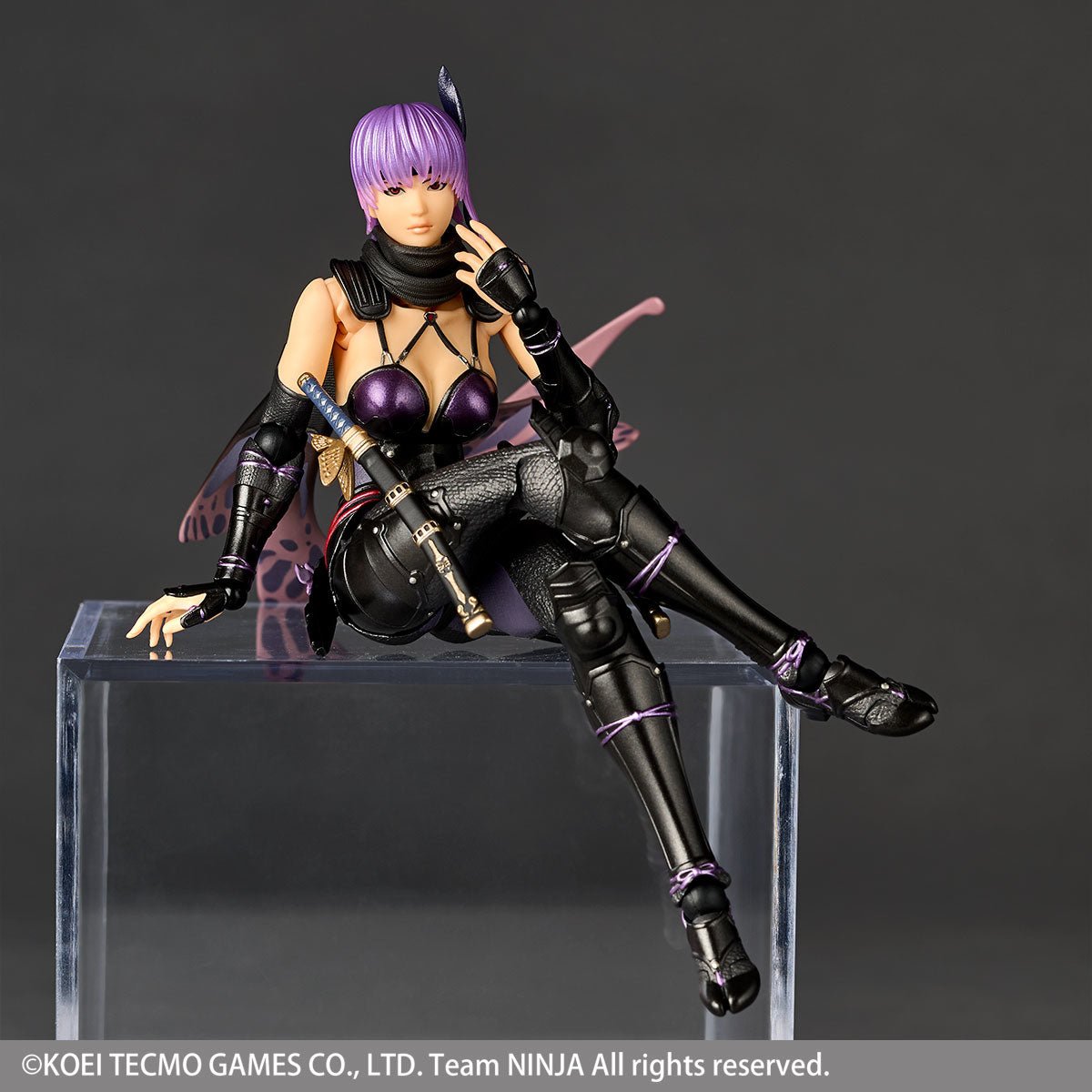 Amazing Yamaguchi Revoltech NR067 Ninja Gaiden 3: Razor's Edge Ayane、mySite、hgirdovlk