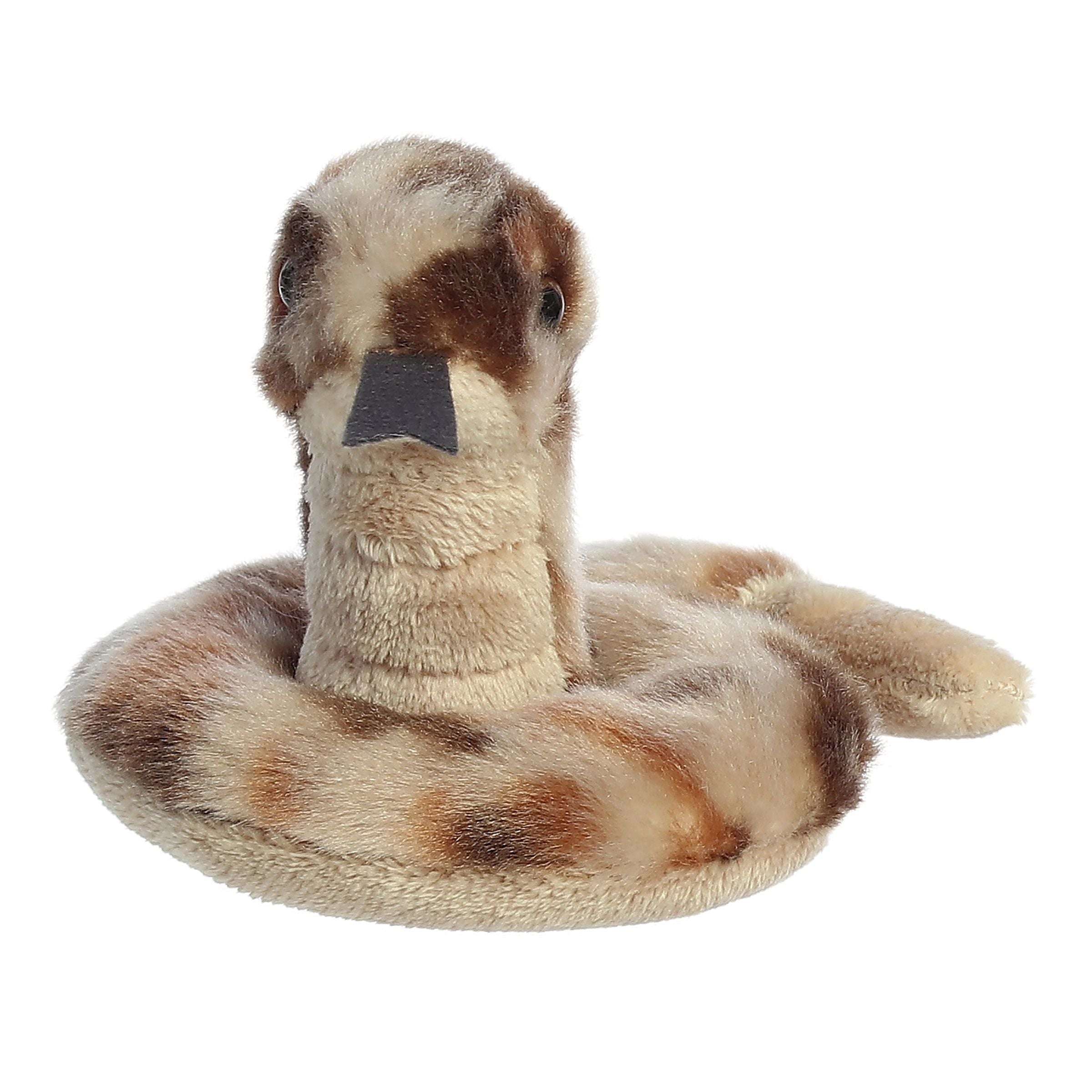 Aurora® - Shoulderkins™ - 6 Slithers Snake™、mySite、g9winljtr