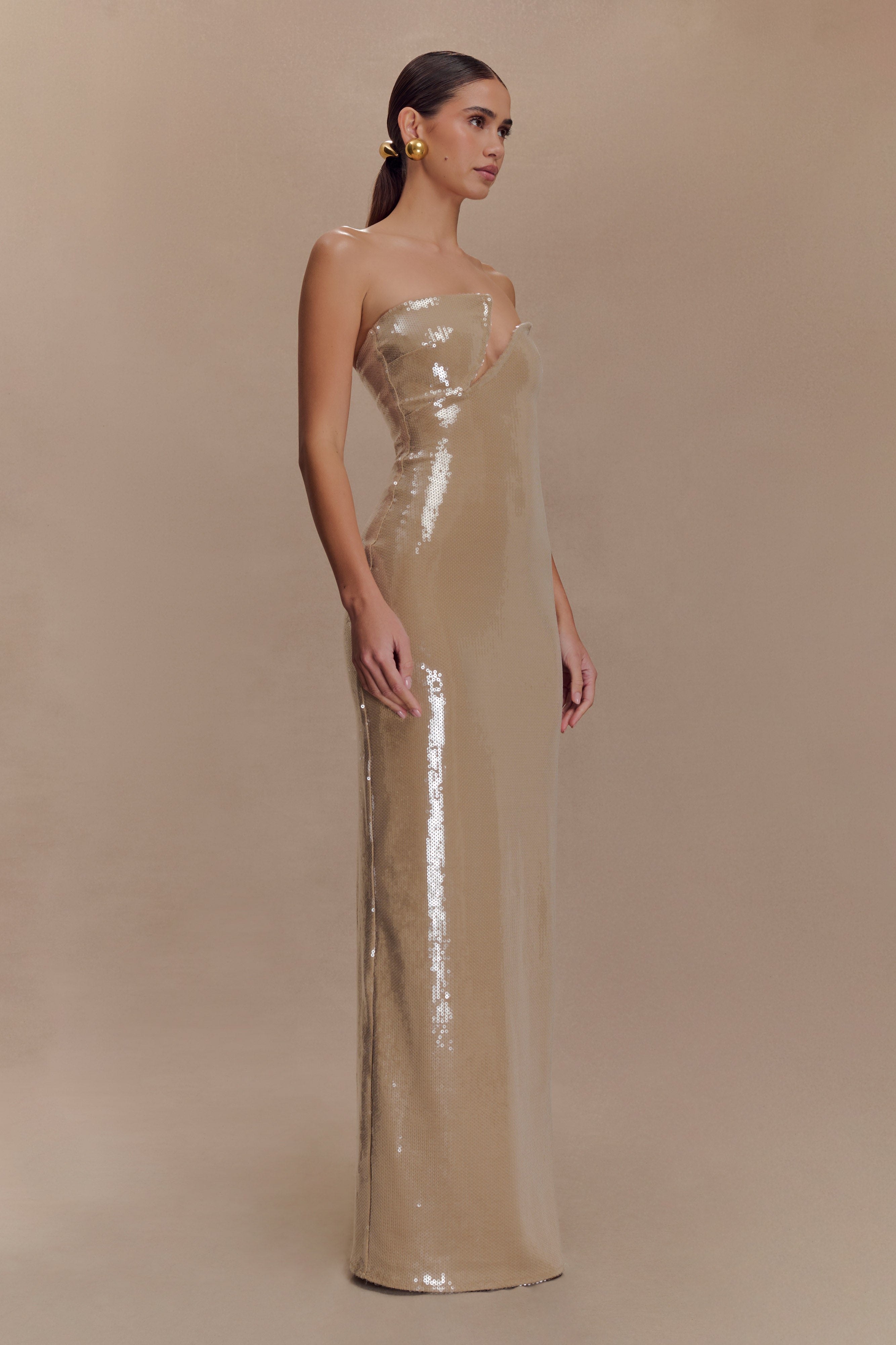Winston Strapless Sequin Maxi Dress - Taupe、mySite、solidvoid
