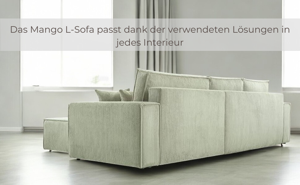 Pasted Image