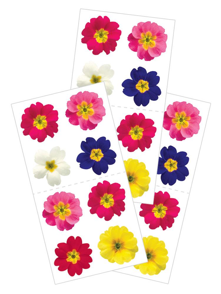  Decorative Stickers - Primroses、mySite、ghnorth