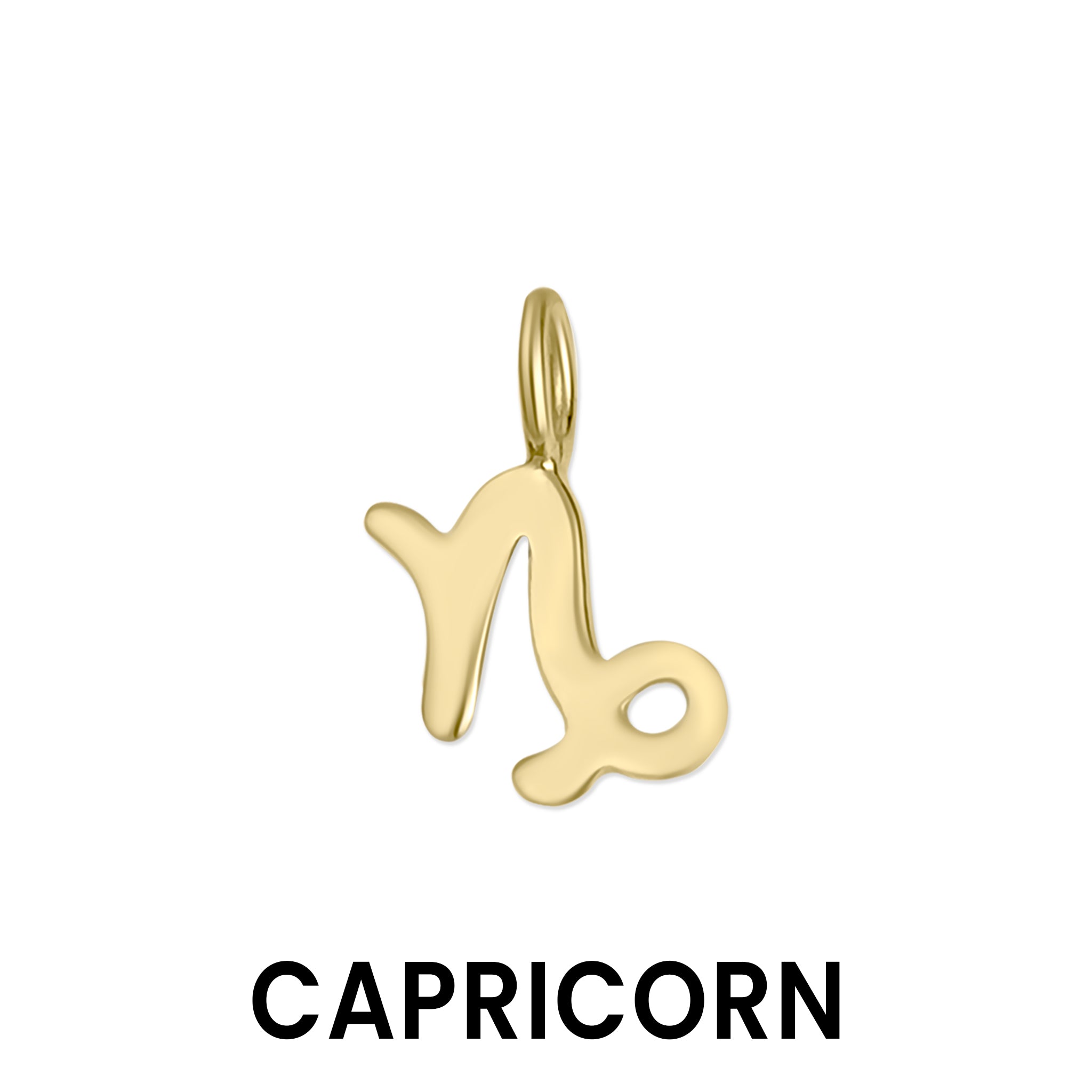 Permanent Jewelry 14K Solid Gold Zodiac Charms / PMJ1017、mySite、dreamappss