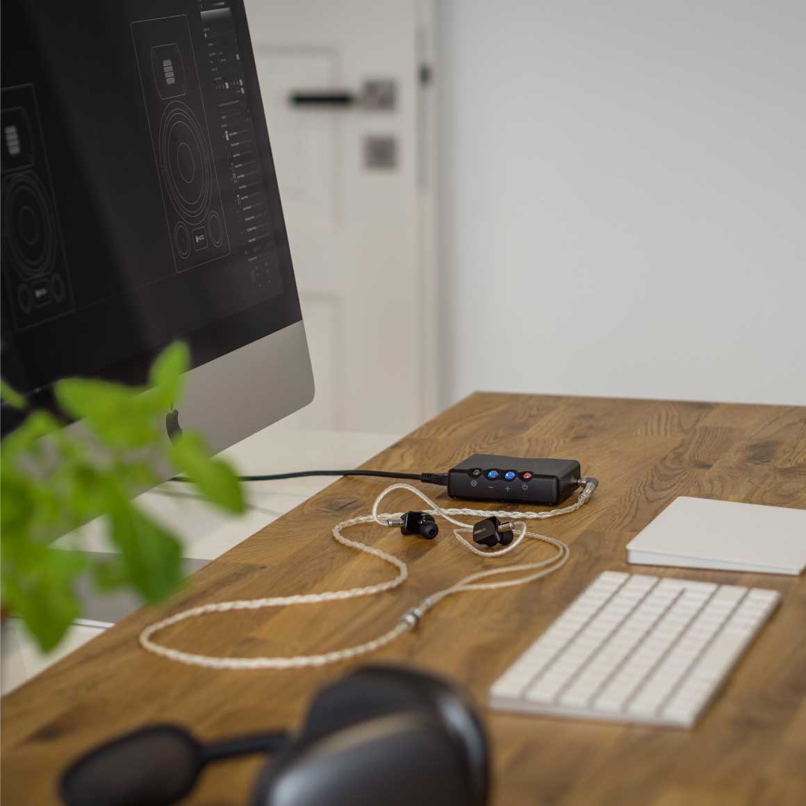  Chord - Mojo 2、mySite、merchandisen