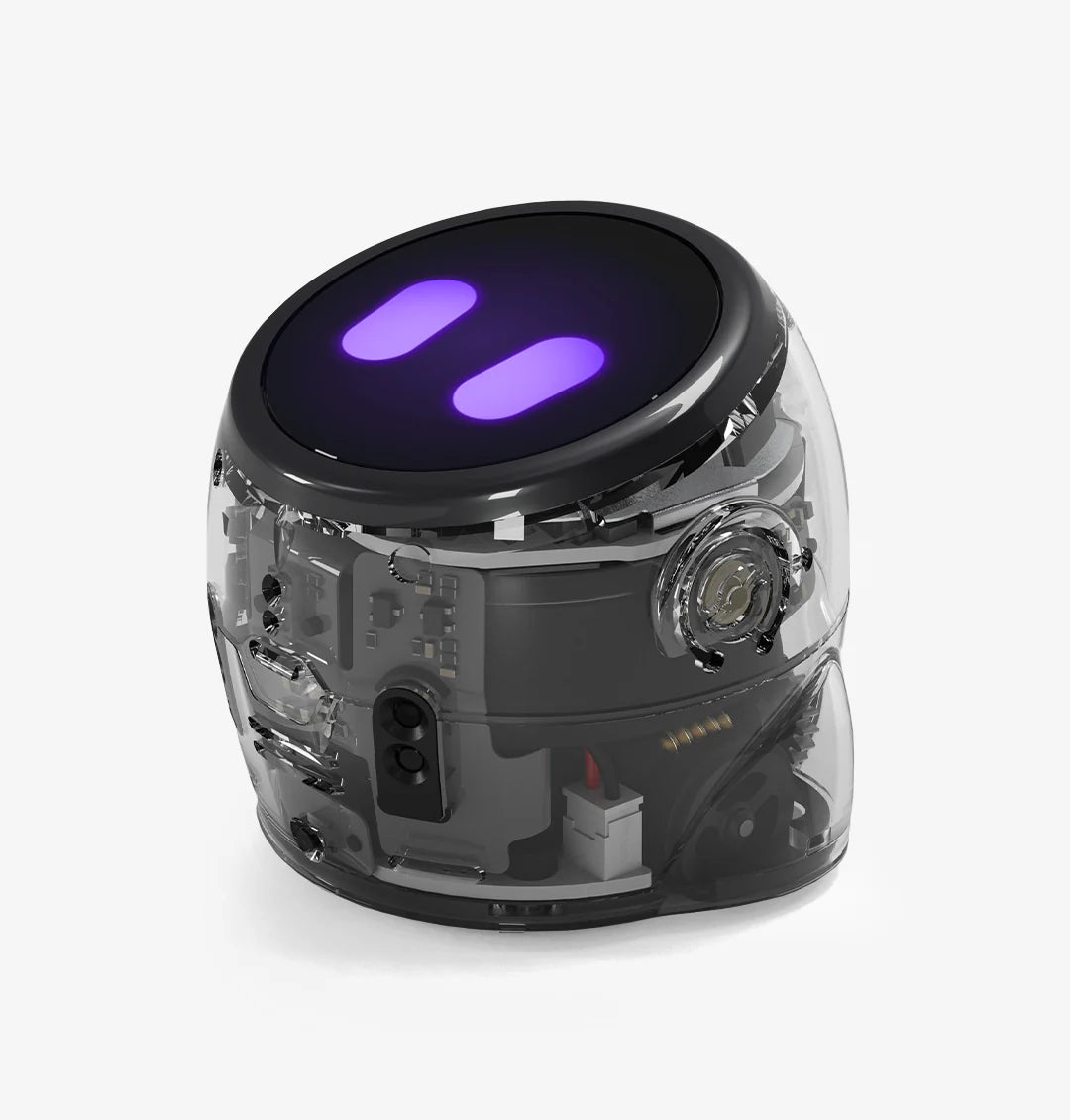 Ozobot Ari Entry Kit、mySite、lovesweatpilates