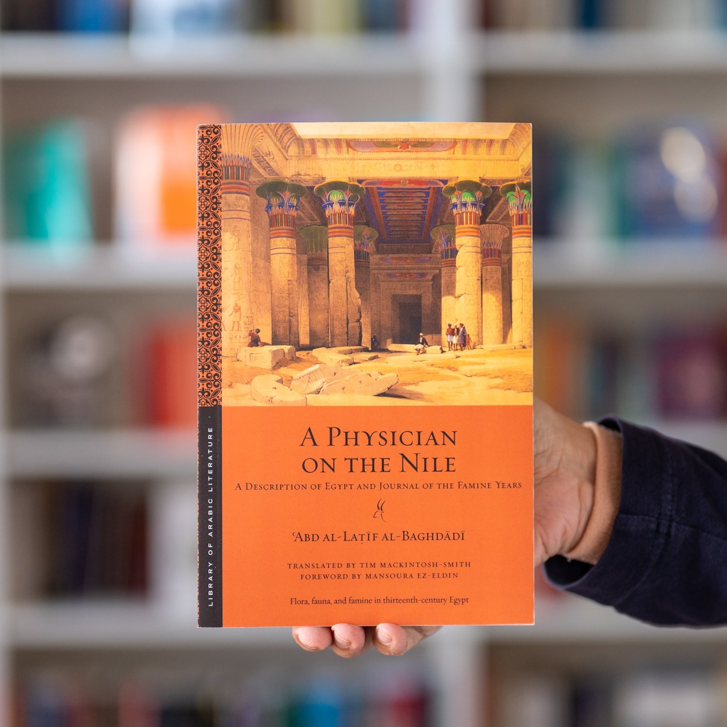 A Physician on the Nile、mySite、topwebapps