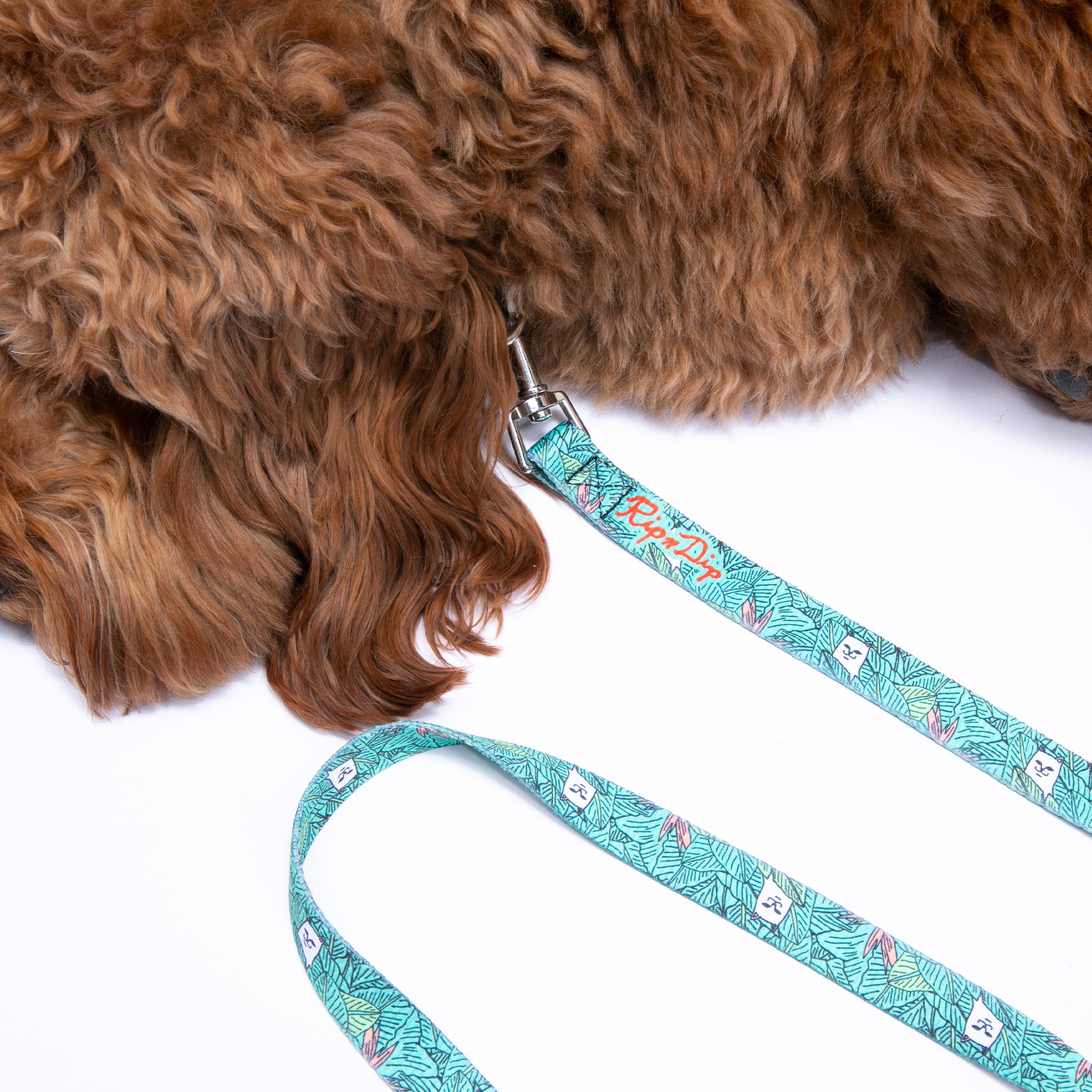  Nermal Leaf Pet Leash、mySite、merchandisen