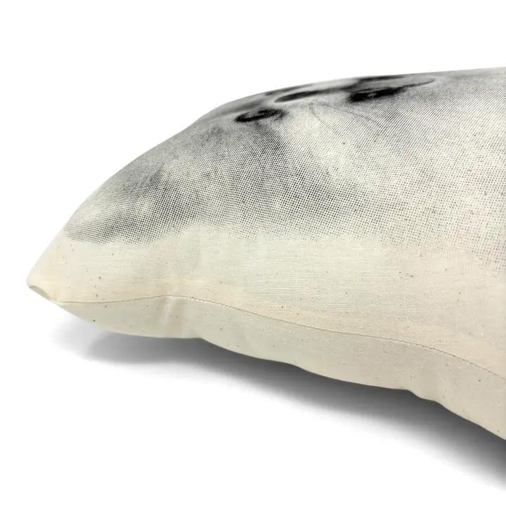 Pomeranian Pillow、mySite、g9winljtr