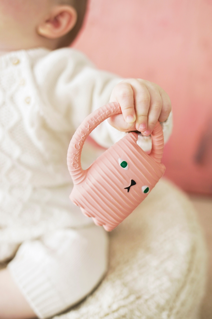 Ginge Cat, Oli & Carol x Donna Wilson、mySite、g9winljtr