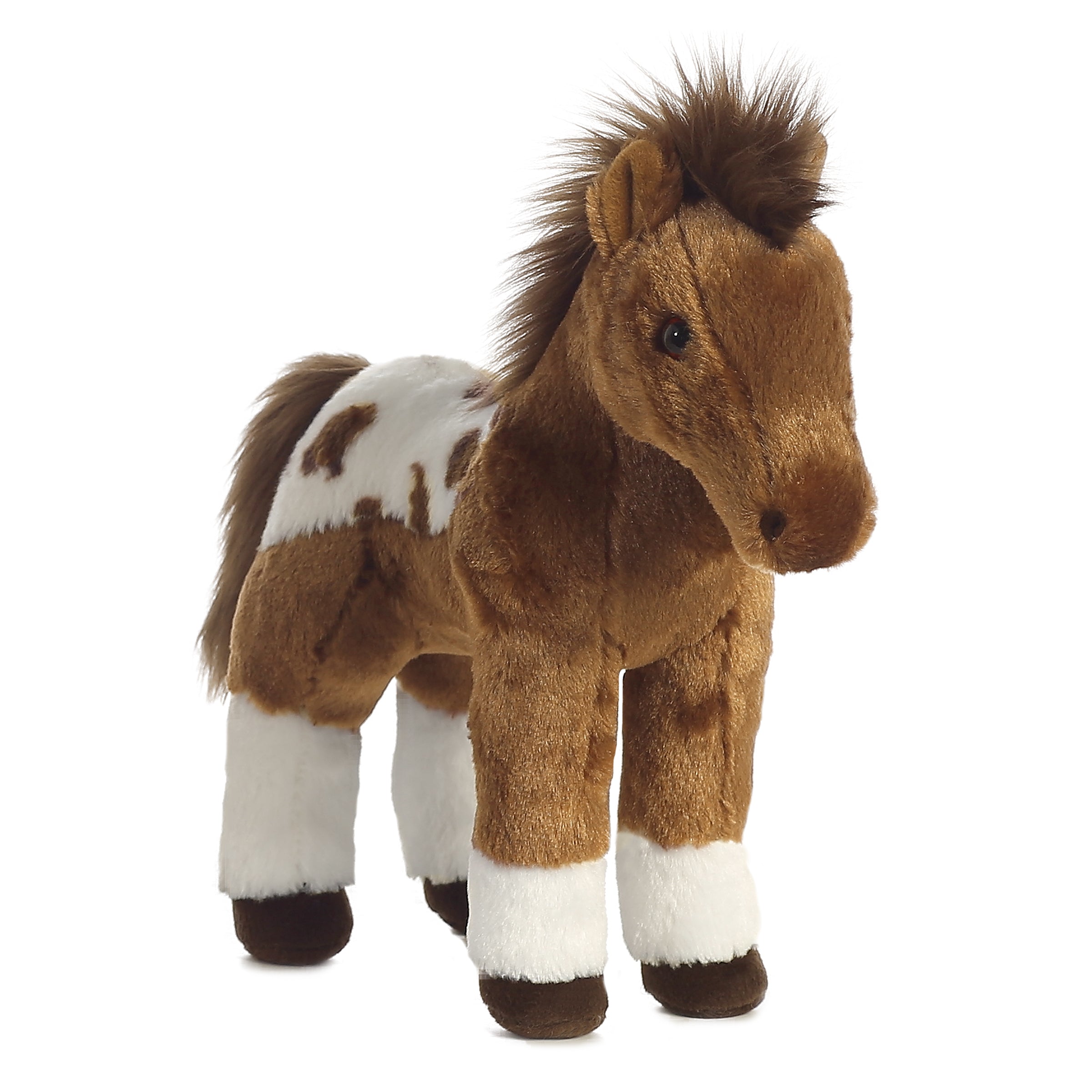 Aurora® - Western - 12 Dakota、mySite、g9winljtr