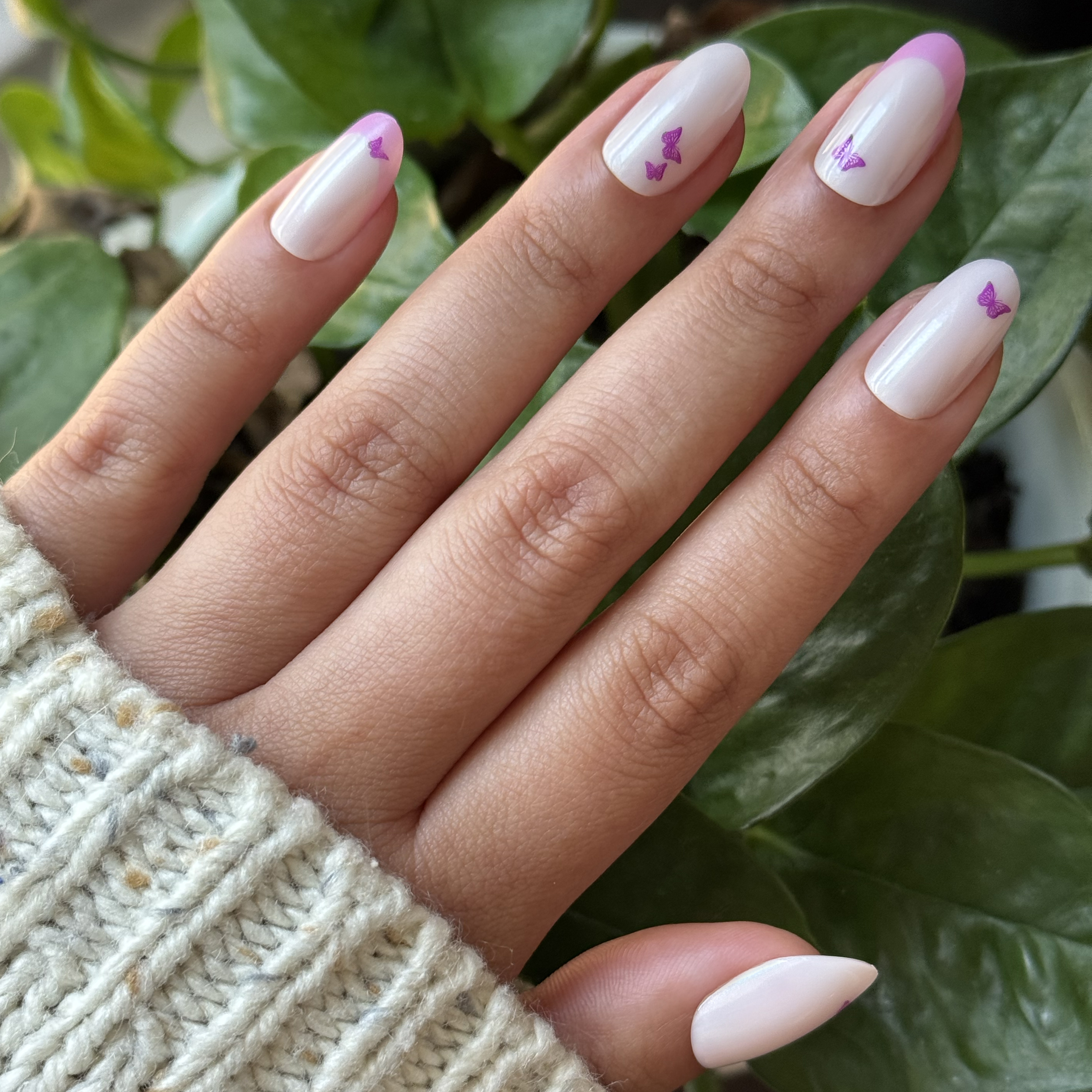 Butterfly Mixed French - Press-On | Medium | Oval、mySite、solidvoid