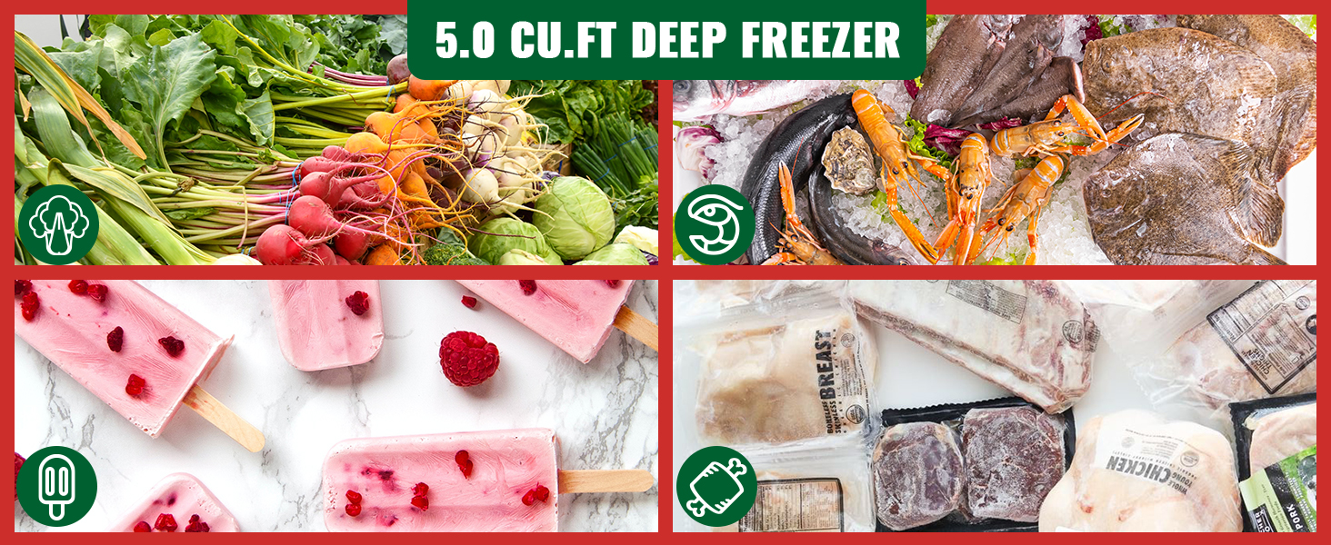 DEMULLER 110 CEHSR FREEZER