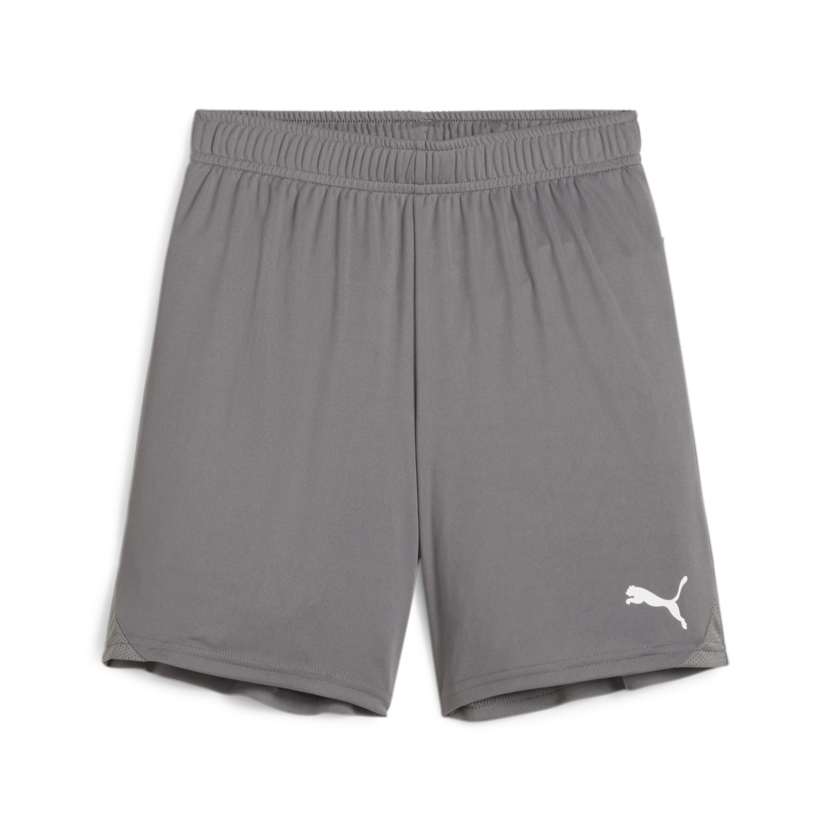Puma Youth Teamgoal Shorts - Grey、mySite、noshort