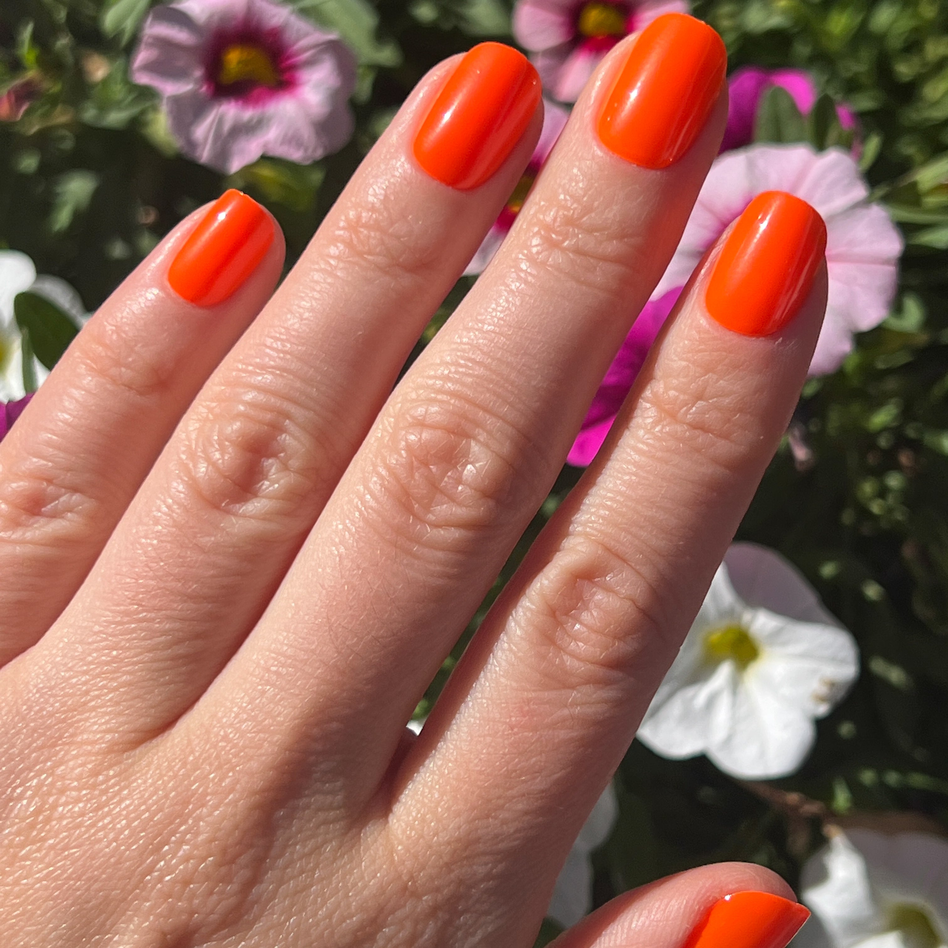 Neon Tangerine | Squoval | Extra Short、mySite、solidvoid