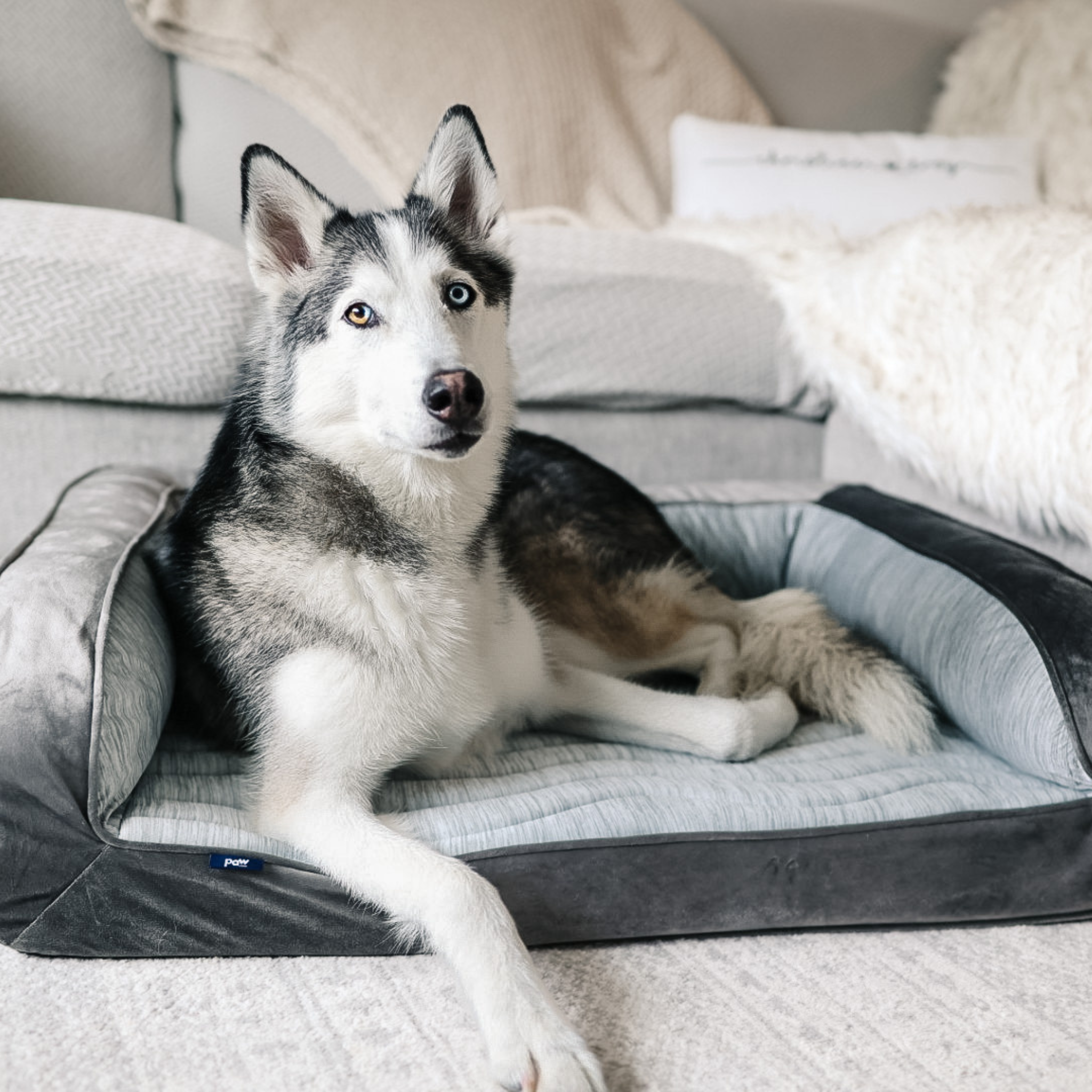 PupChill™ Cooling Bolster Dog Bed + Waterproof Blanket Bundle - Arctic Grey、mySite、solidvoid