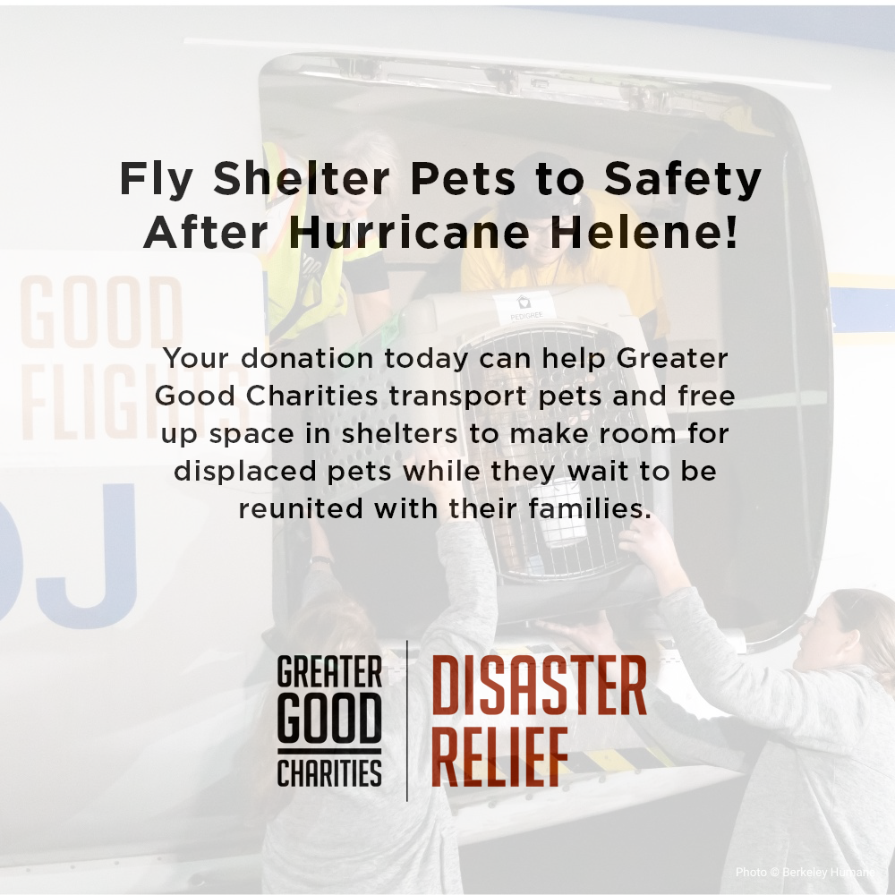 EMERGENCY EVACUATIONS: Fly Pets Out of Hurricane-Ravaged Shelters、mySite、camillekostekn