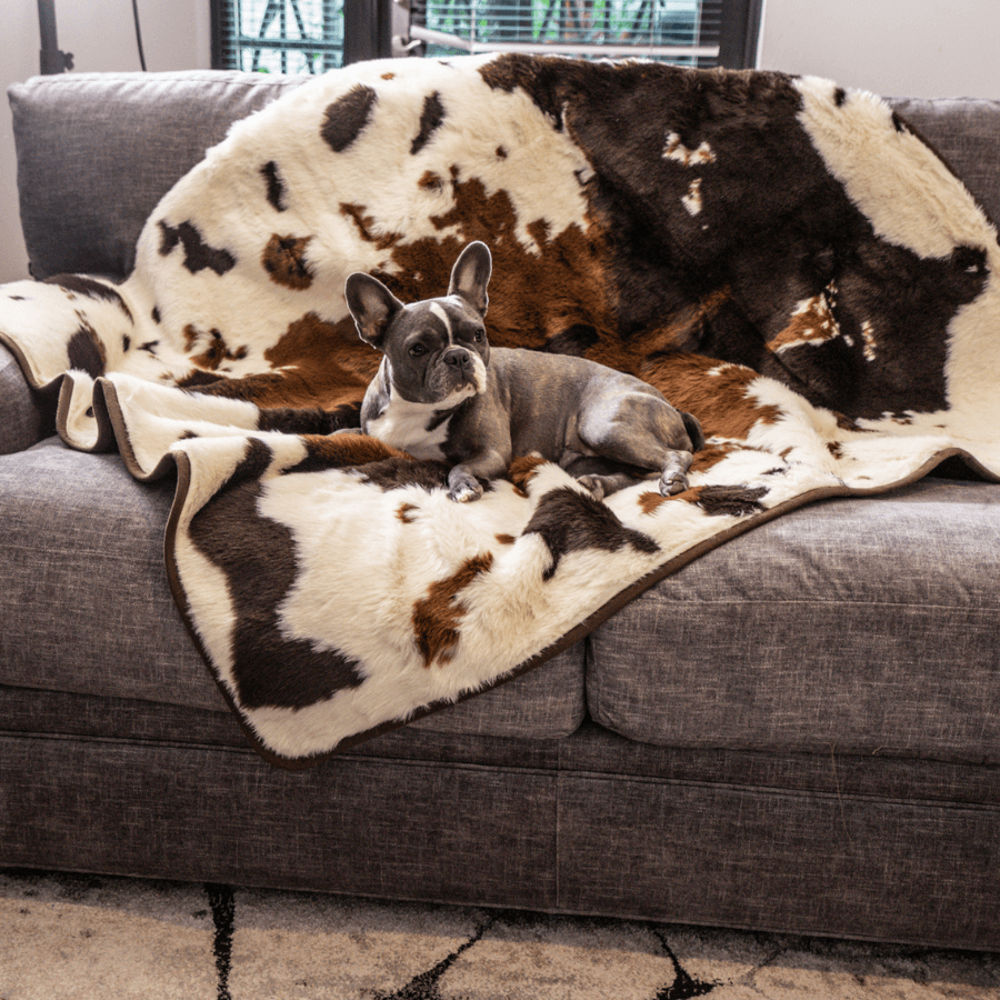 Paw.com x BarkBox PupProtector™ Waterproof Throw Blanket - Brown Faux Cowhide、mySite、solidvoid
