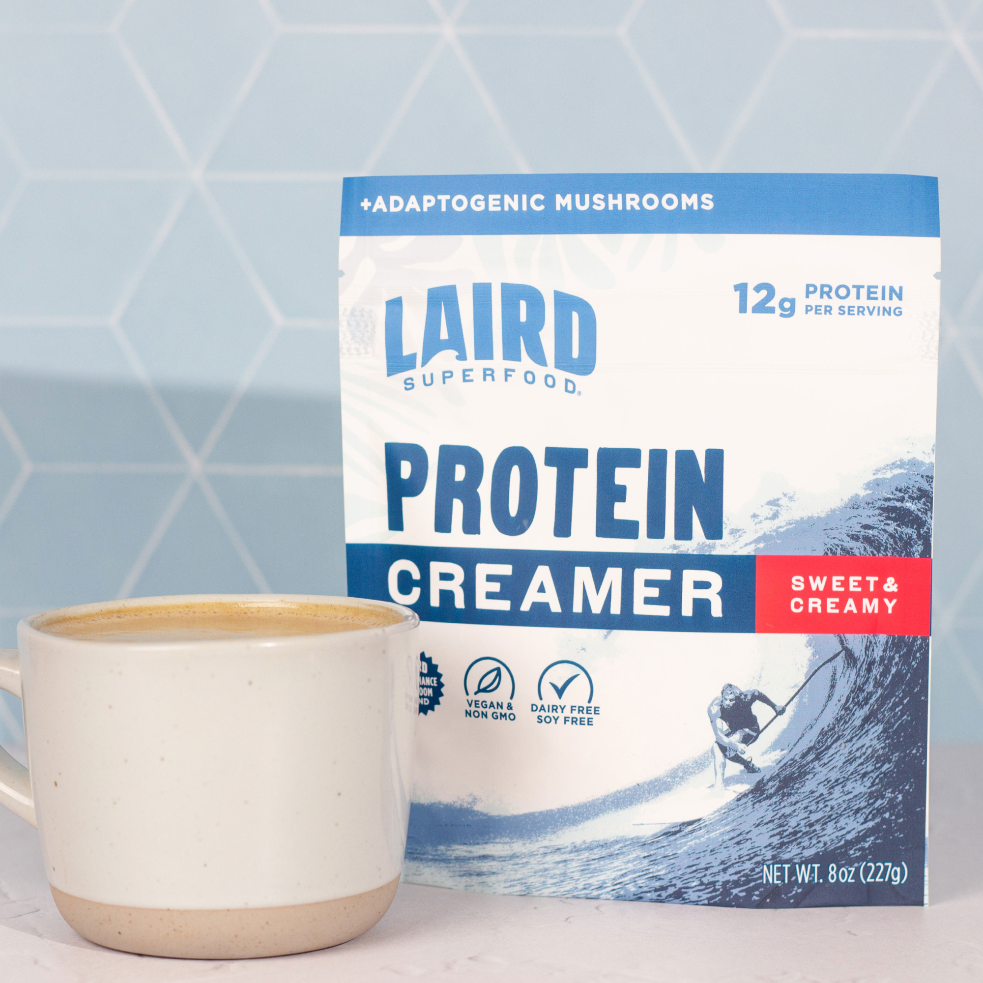 Protein Creamer、mySite、gigharbornorthrealestate