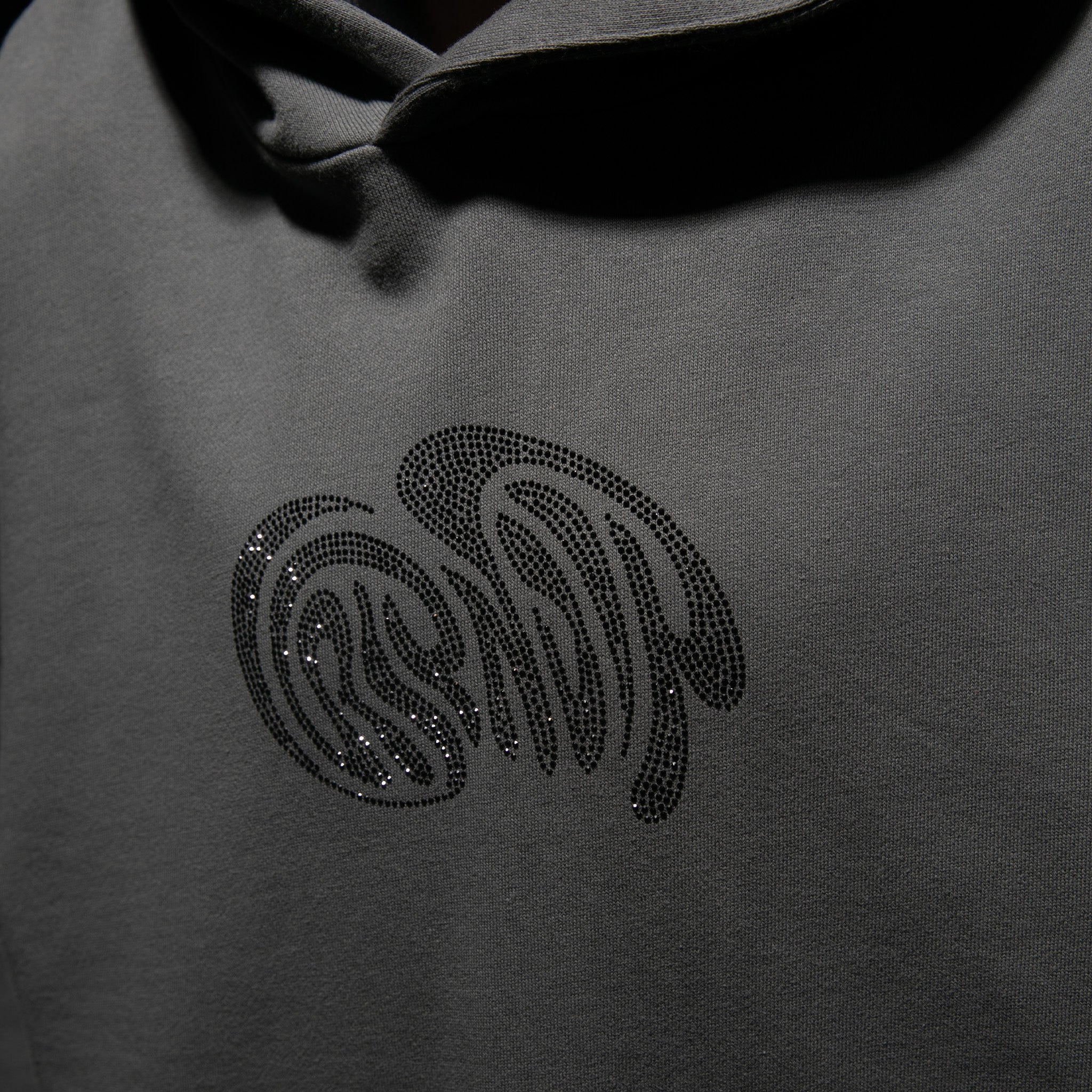  Beautiful Trip Rhinestone Hoodie (Charcoal)、mySite、merchandisen