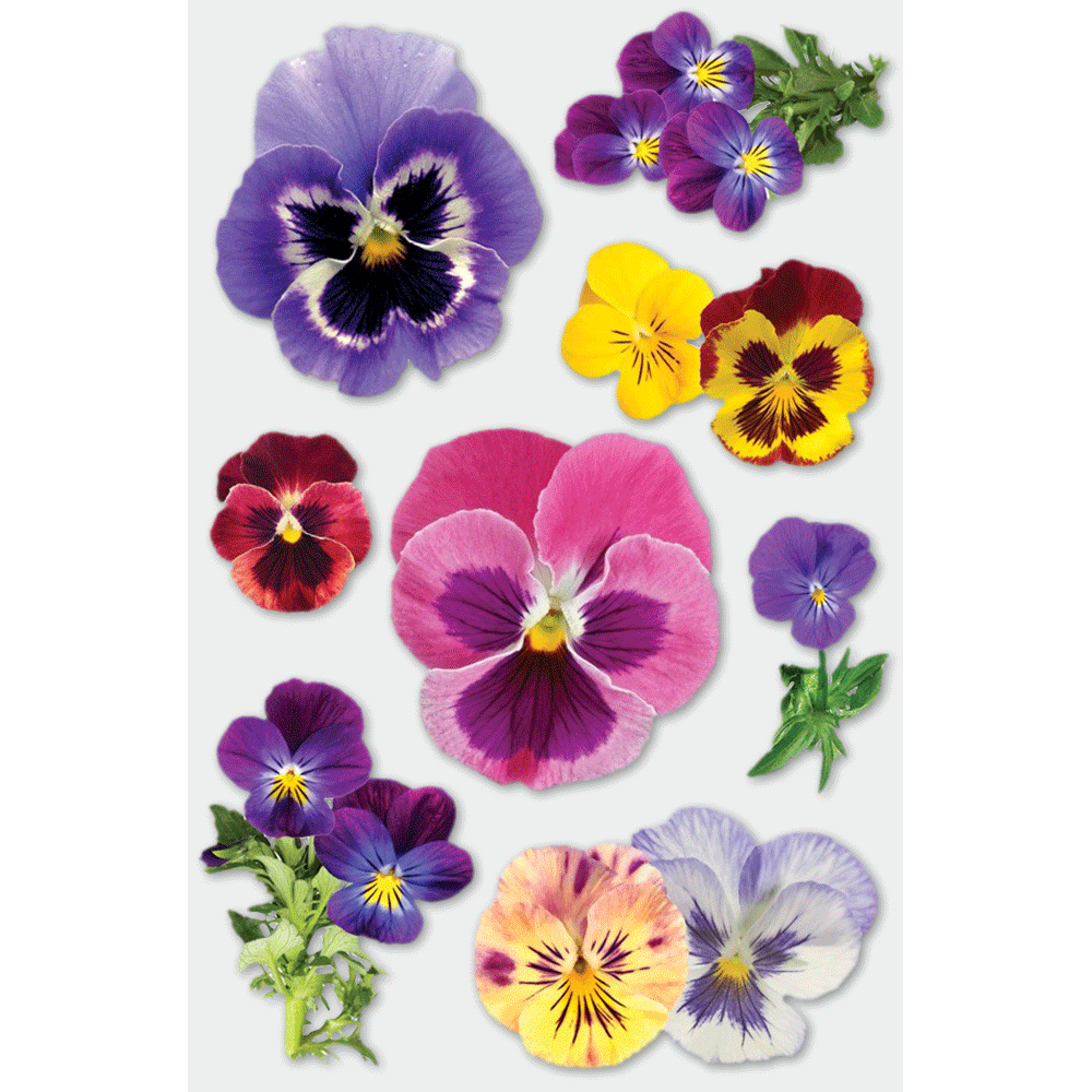  Pansies 3-D Stickers、mySite、ghnorth