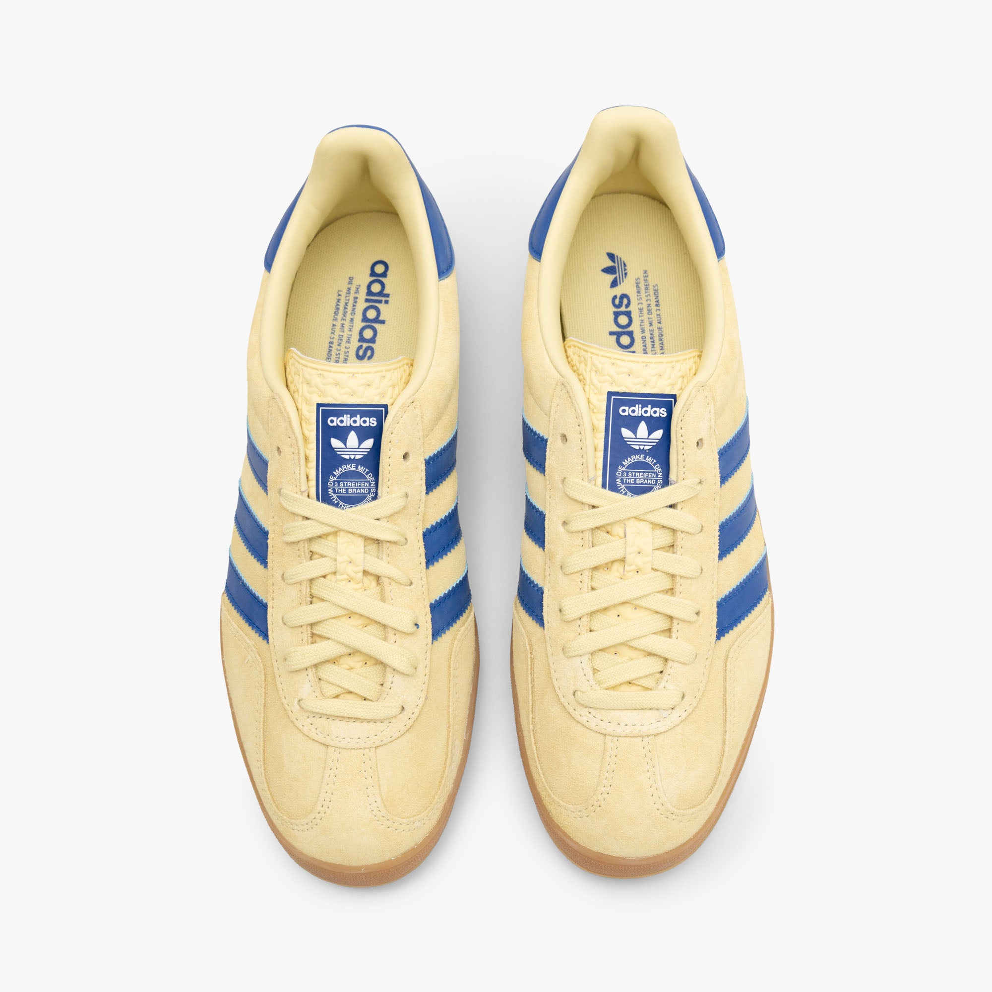 adidas Originals Gazelle Indoor Powder Yellow / Team Royal Blue - Footwear White、mySite、merchandisen