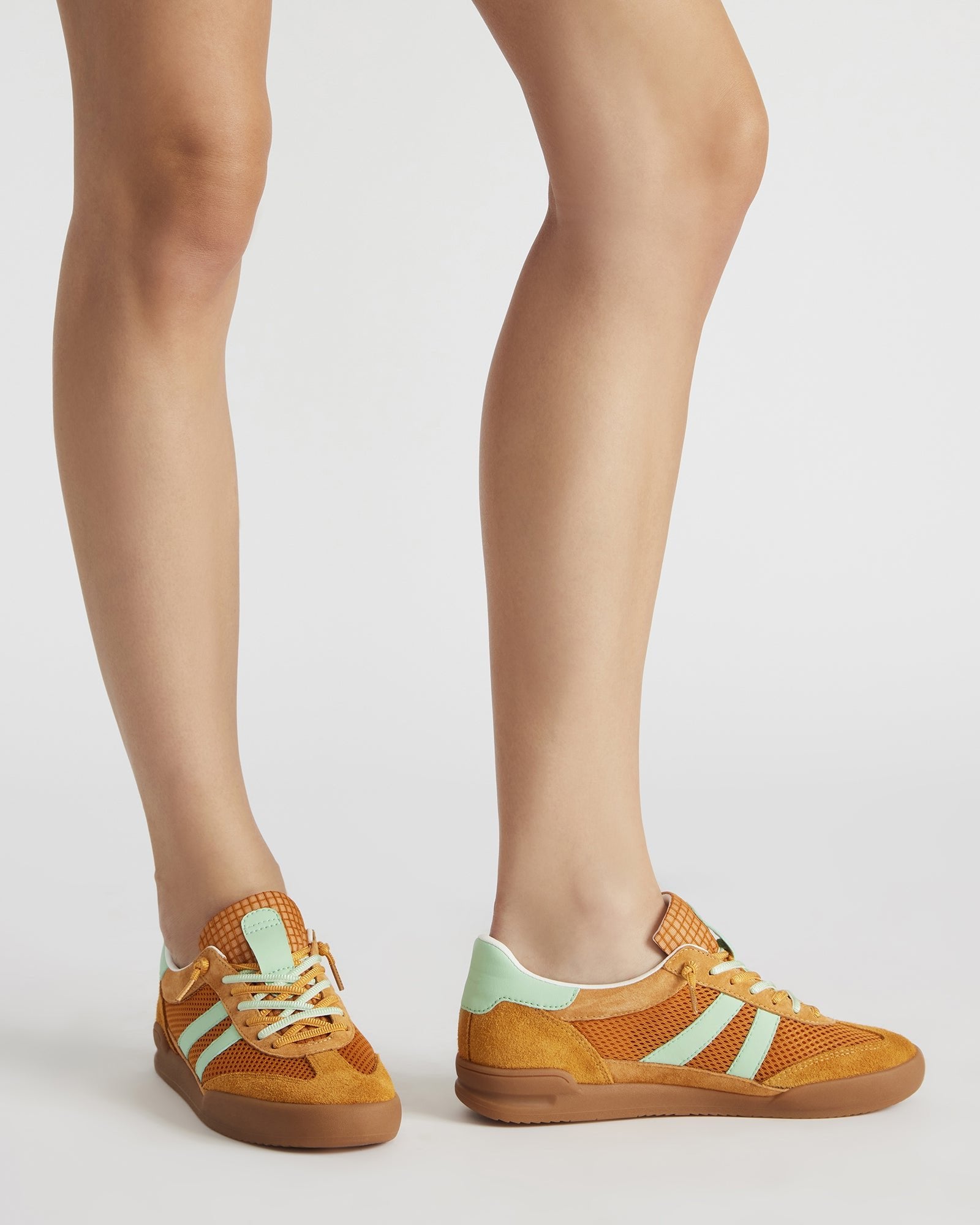 VERDICT ORANGE MULTI、mySite、gtrtttuynbv