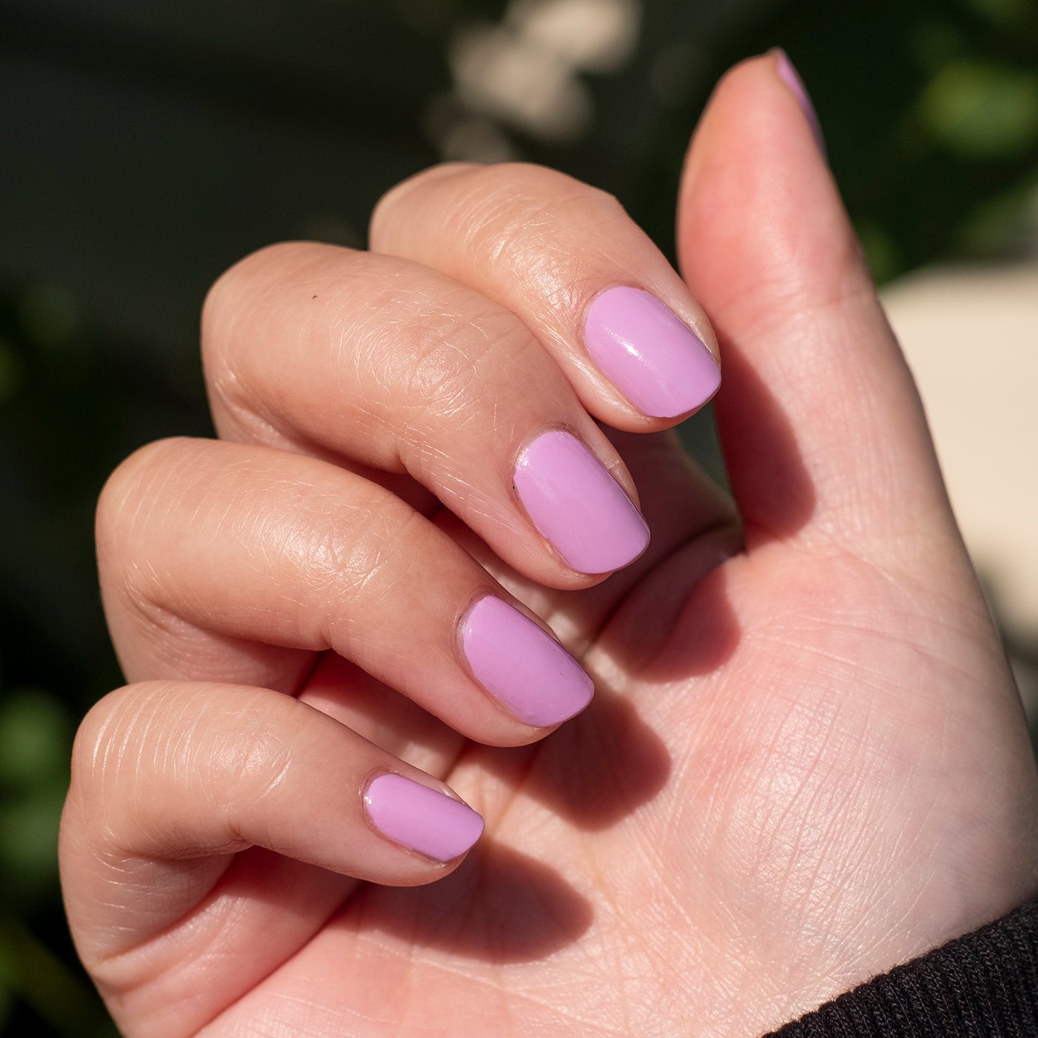 Fierce & Loving、mySite、solidvoid