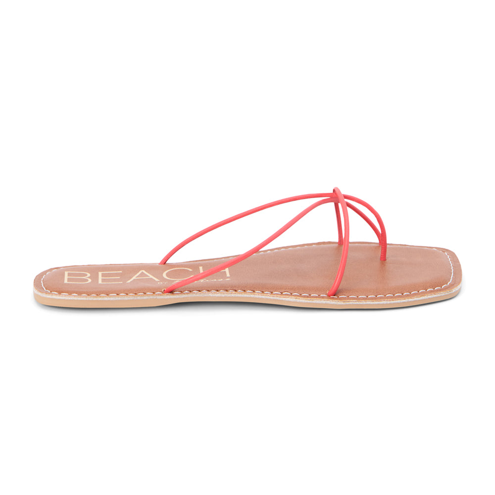 Coastline Strappy Flat Sandals、mySite、gtrtttuynbv