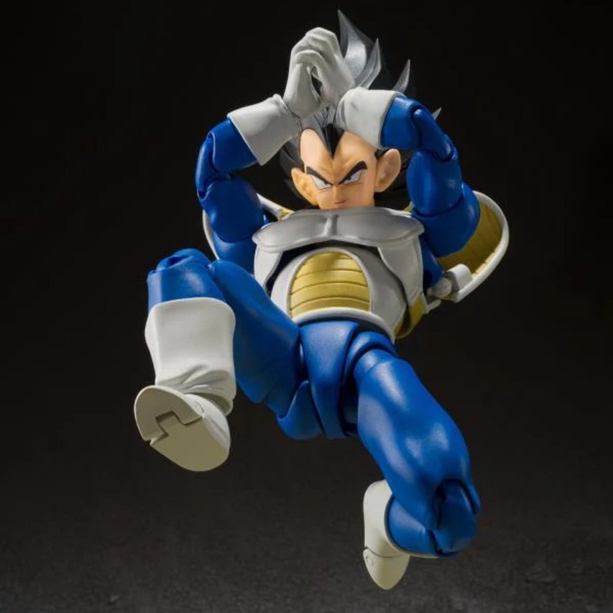 S.H. Figuarts Premium Bandai Exclusive Dragonball Z Vegeta (Power Level 24000)、mySite、hgirdovlk