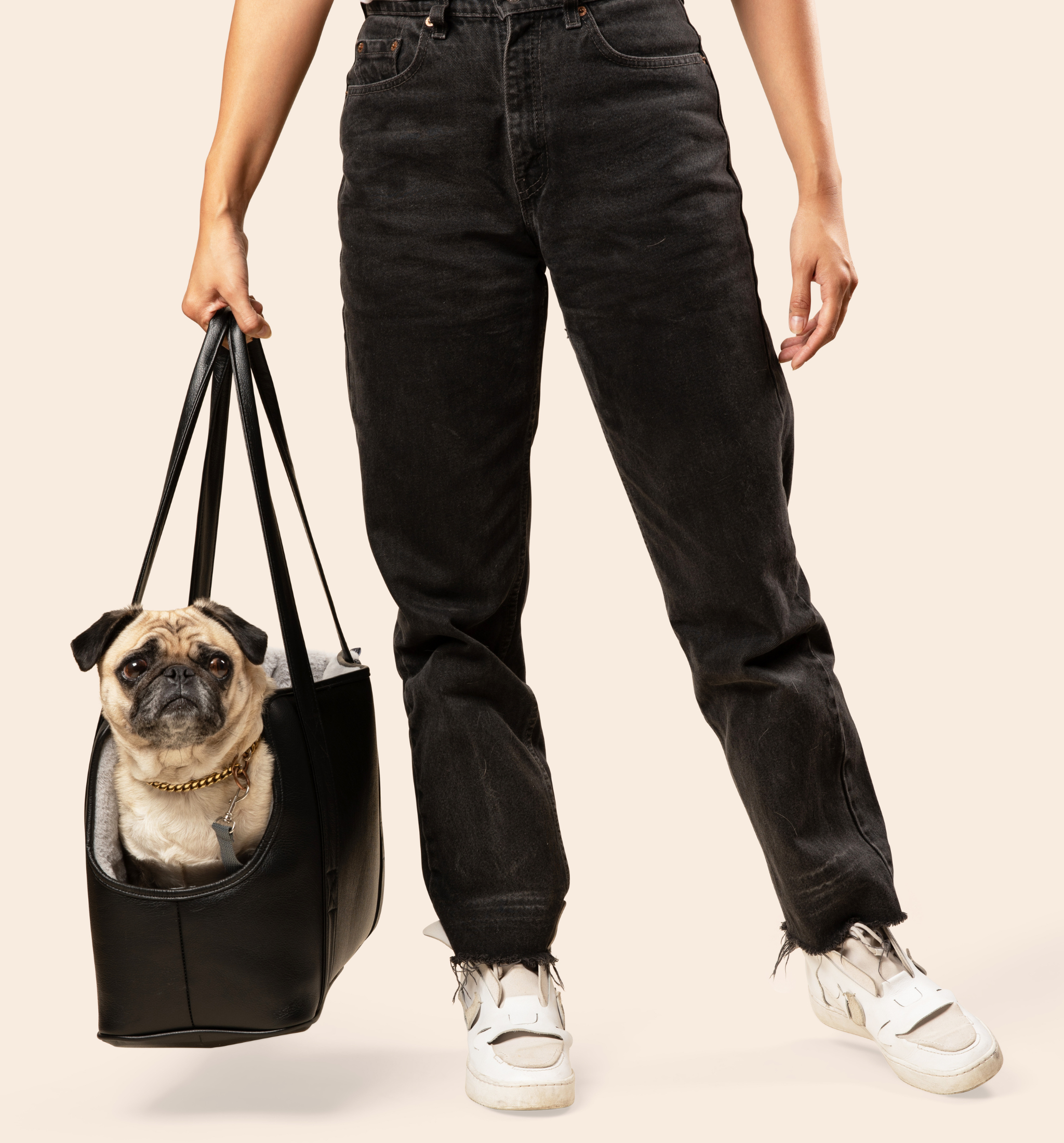 PupTote™ 3-in-1 Faux Leather Dog Carrier Bag - Black、mySite、solidvoid