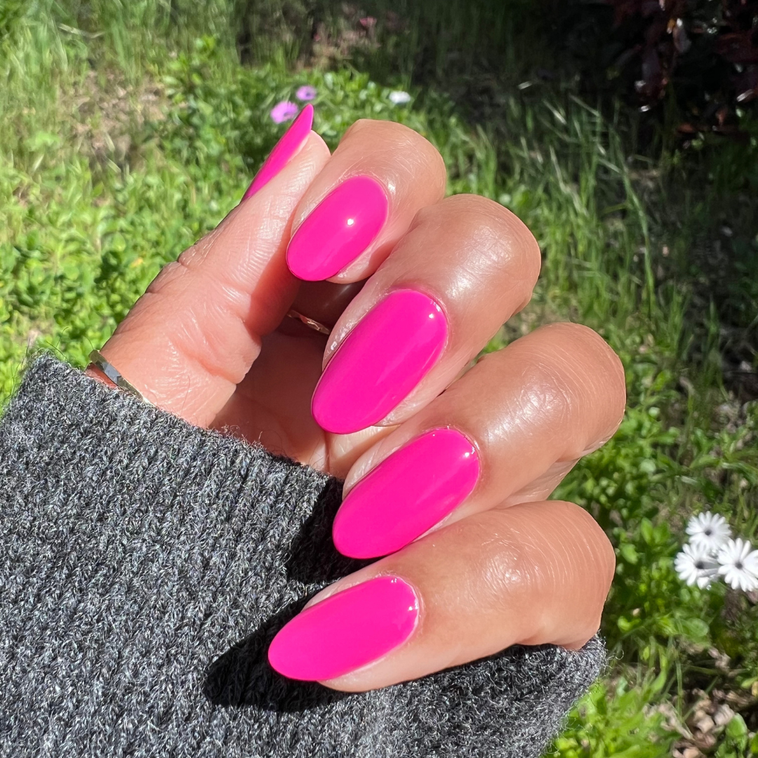 Wildest、mySite、solidvoid