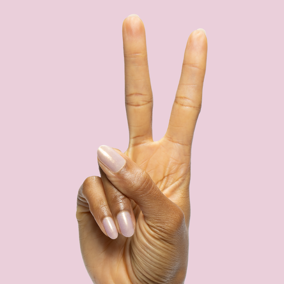 Star Baker、mySite、solidvoid