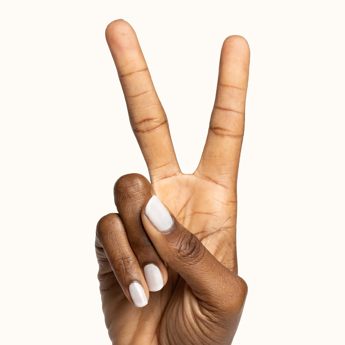 Buttercream、mySite、solidvoid