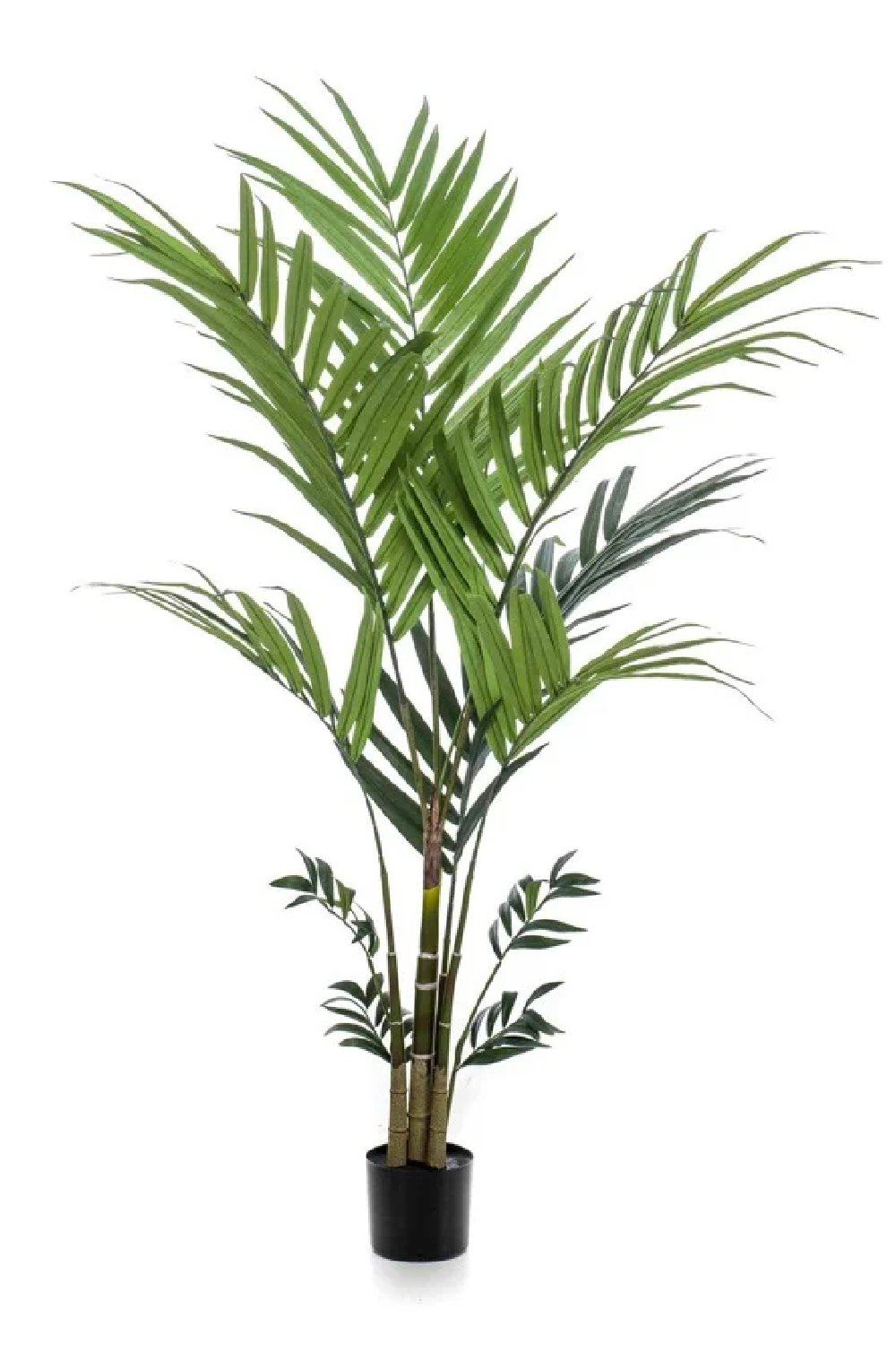 Artificial Tropical Palm Set (2) | Emerald Kentia、mySite、neckold