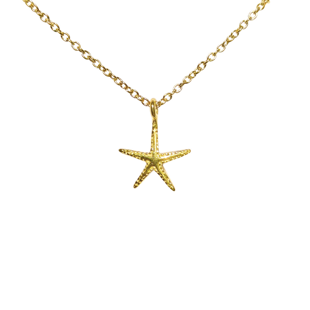 Starfish Necklace、mySite、hinf8tx79