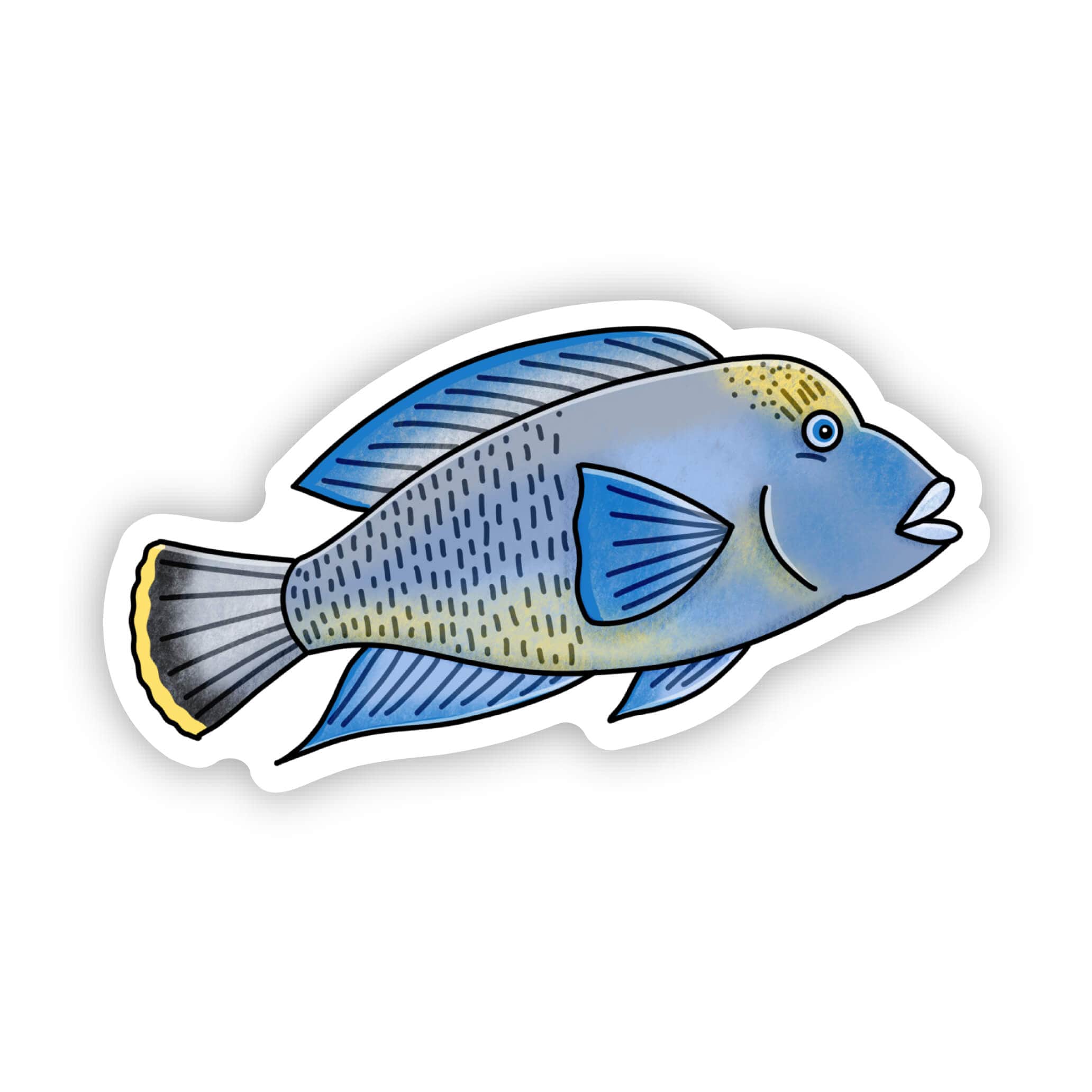  Salt Water Fish Sticker、mySite、ghnorth