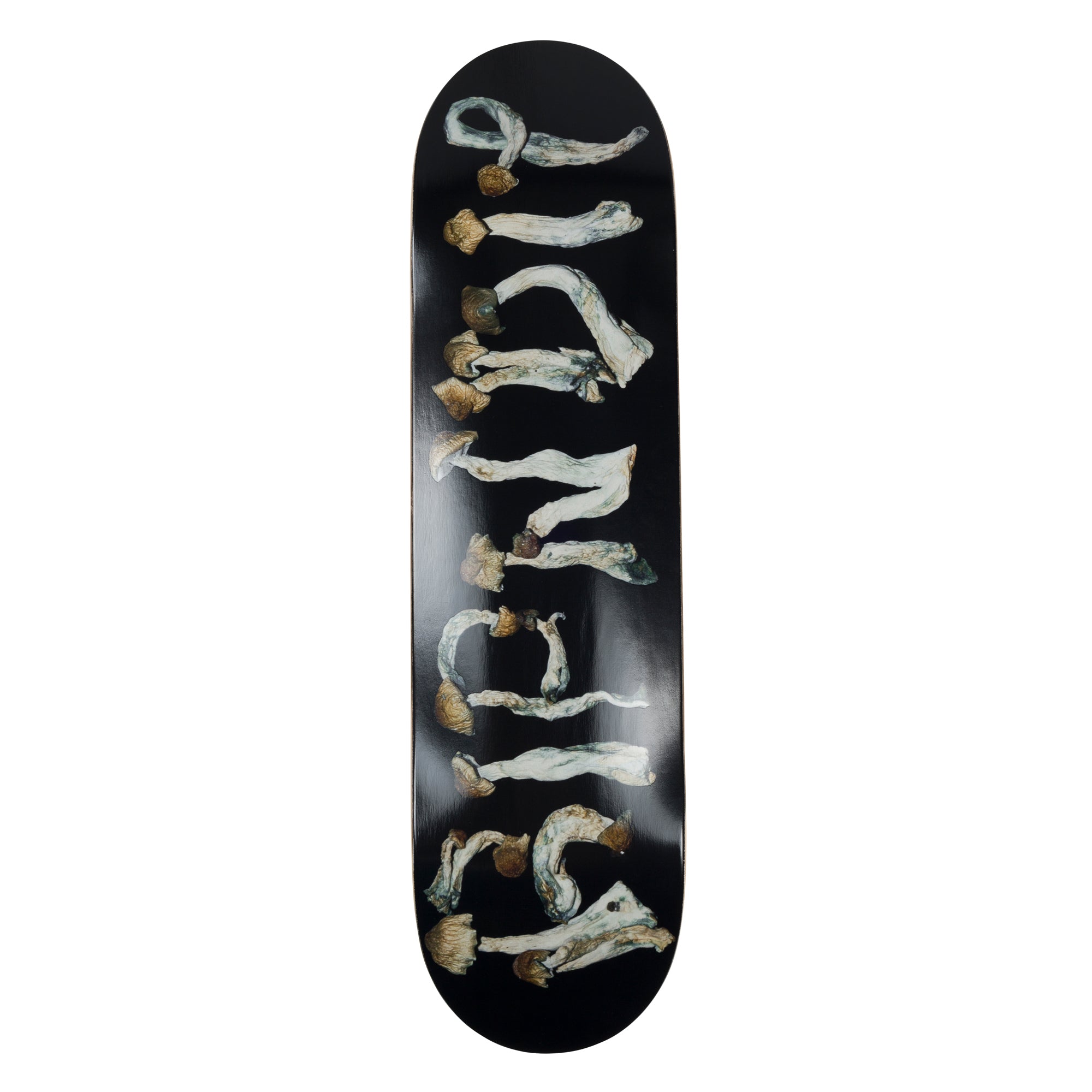  Is This Real Life Deck、mySite、merchandisen