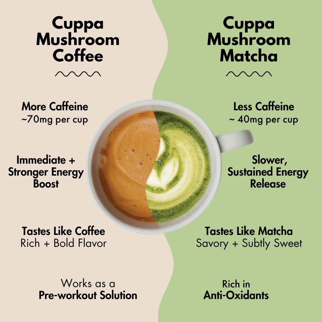  Mushroom Matcha、mySite、ghnorth