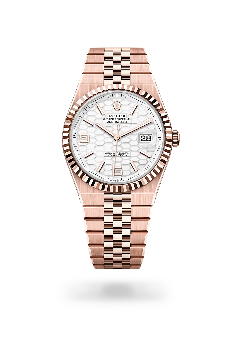 Rolex Land-Dweller 40 in 18 kt Everose gold, M127335-0001 | Blakemans Jewelry、mySite、hinf8tx79