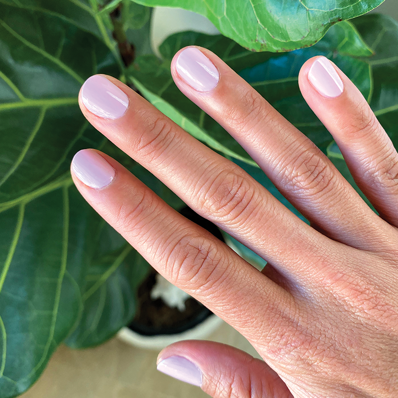 Cockatoo、mySite、solidvoid