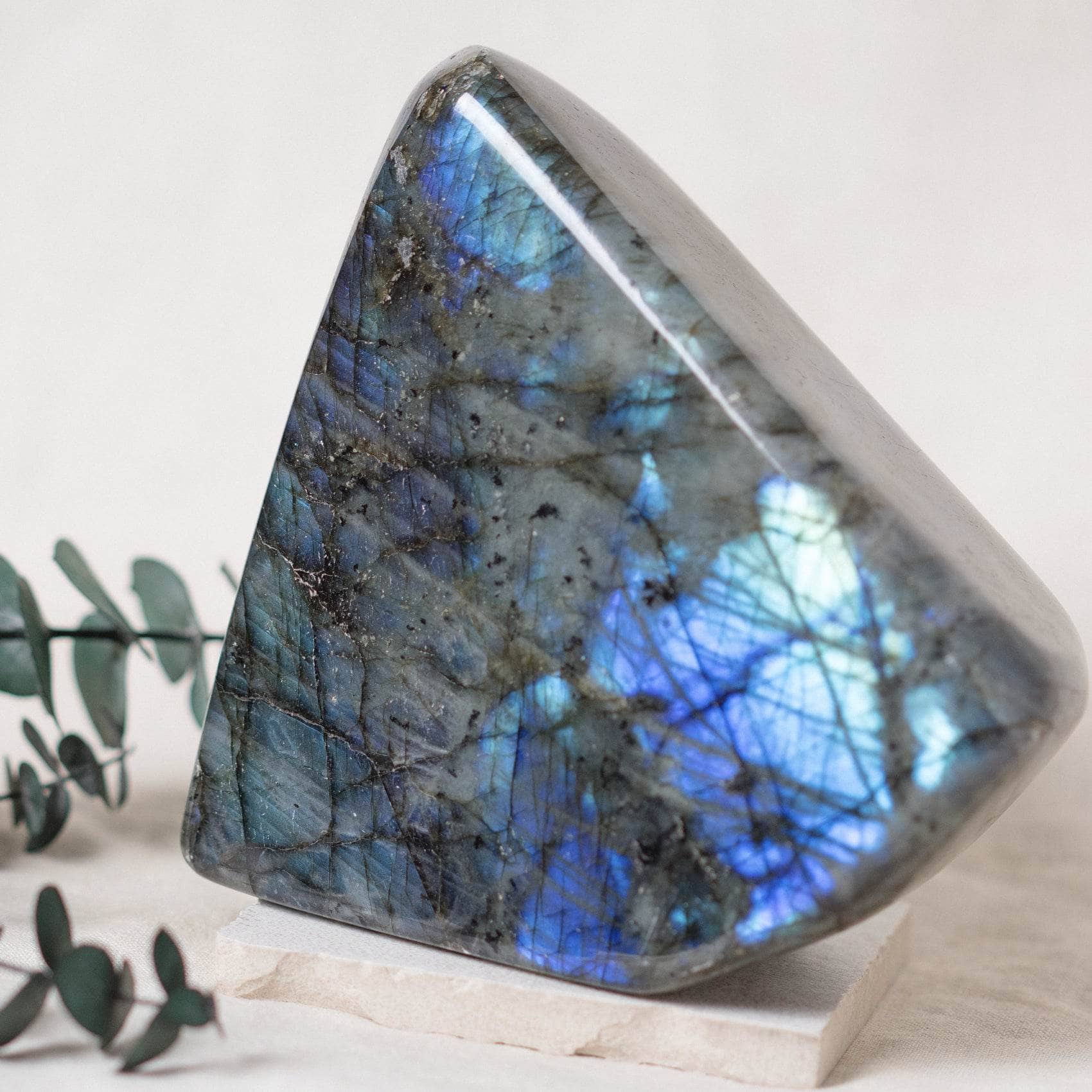 Labradorite Blue Flame Freeform - AAA Premium Quality、mySite、hinf8tx79